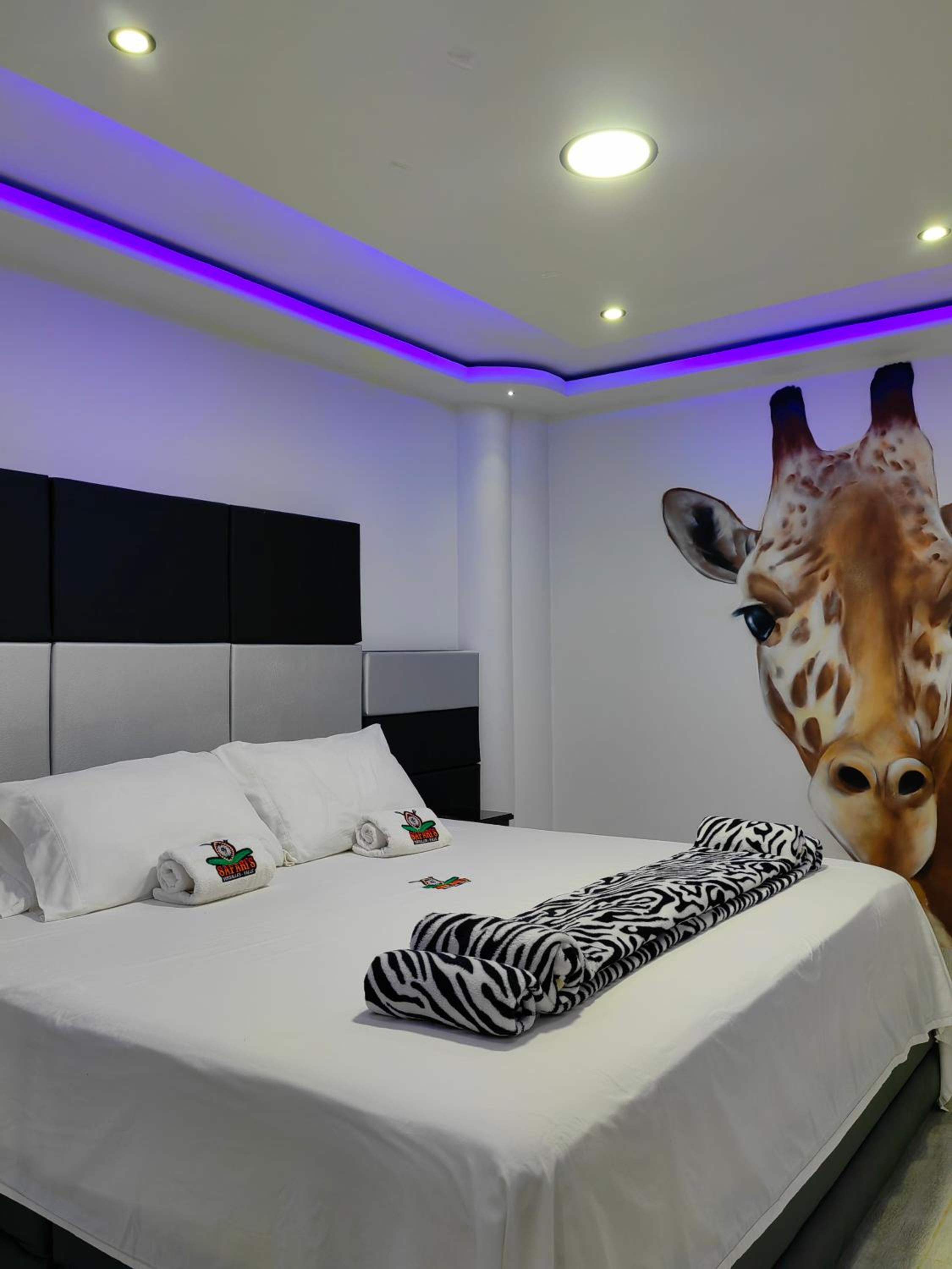 Suite photo 1