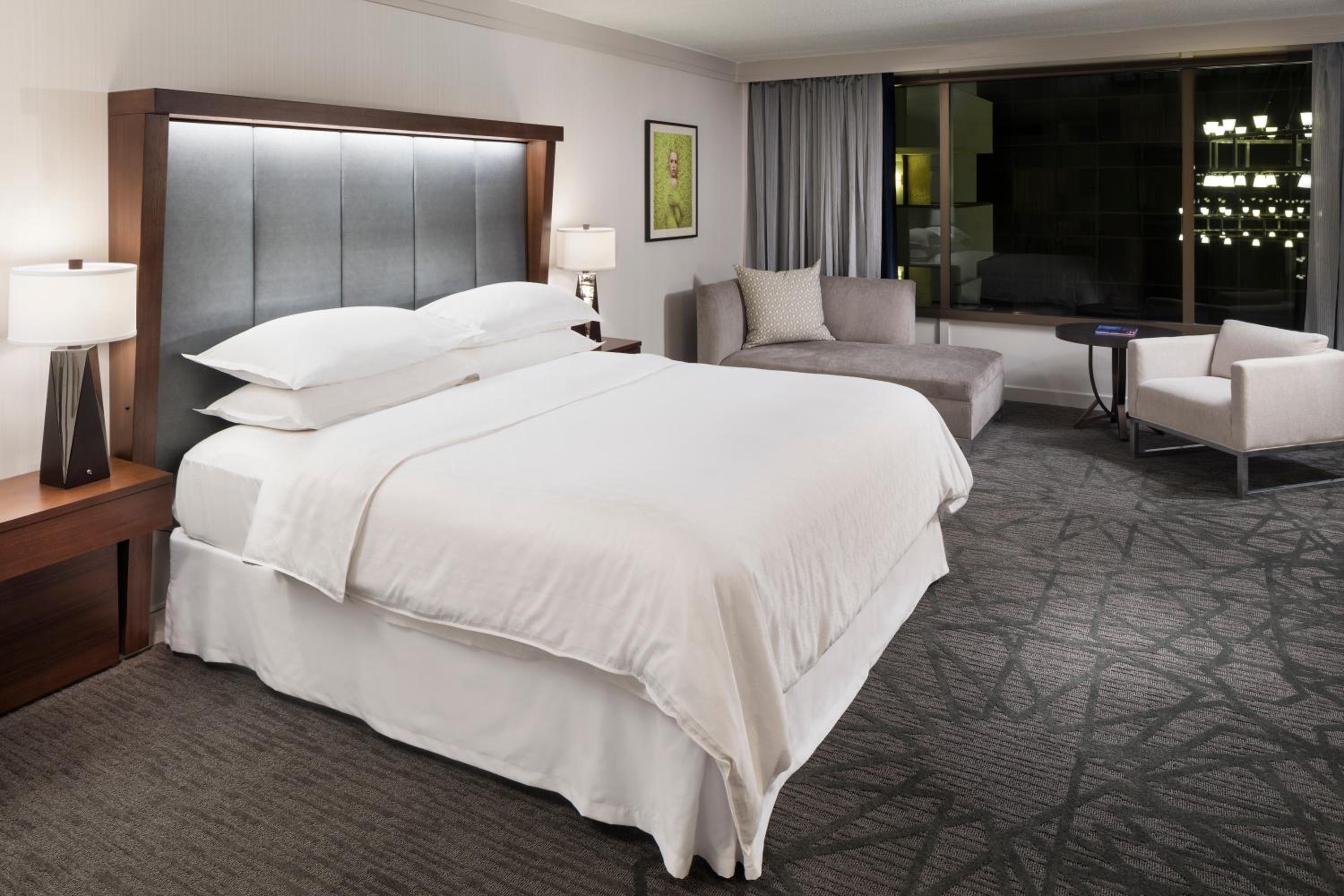 Suite, 1 King, Sofa bed