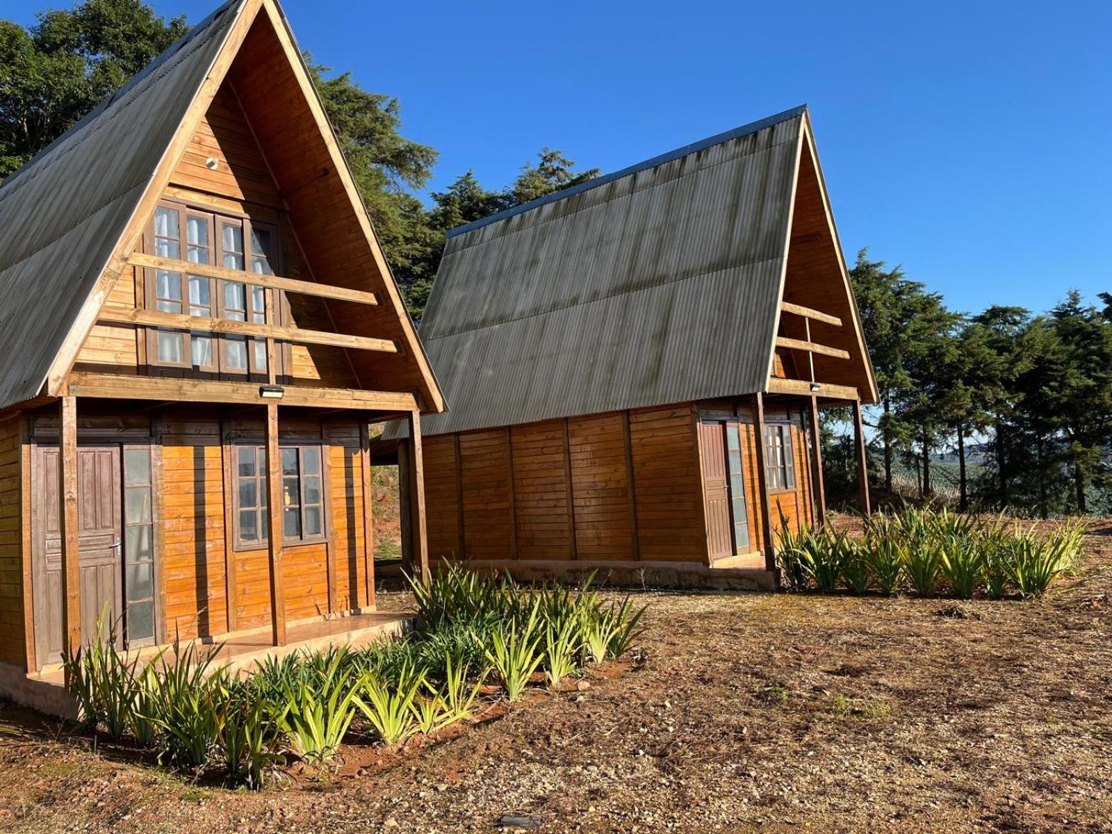 Three-Bedroom Chalet photo 2