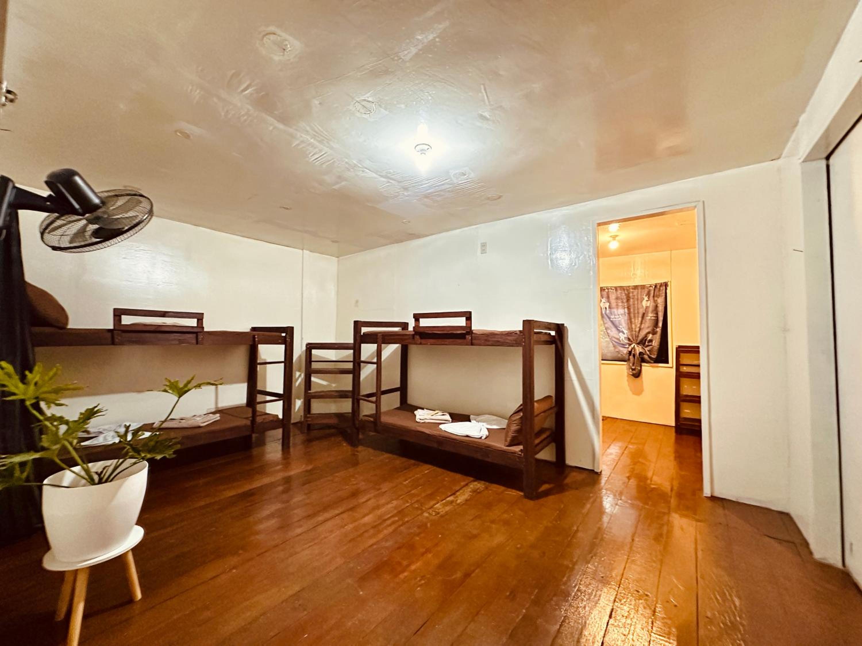 Bed in 6-Bed Mixed Dormitory Room photo 1