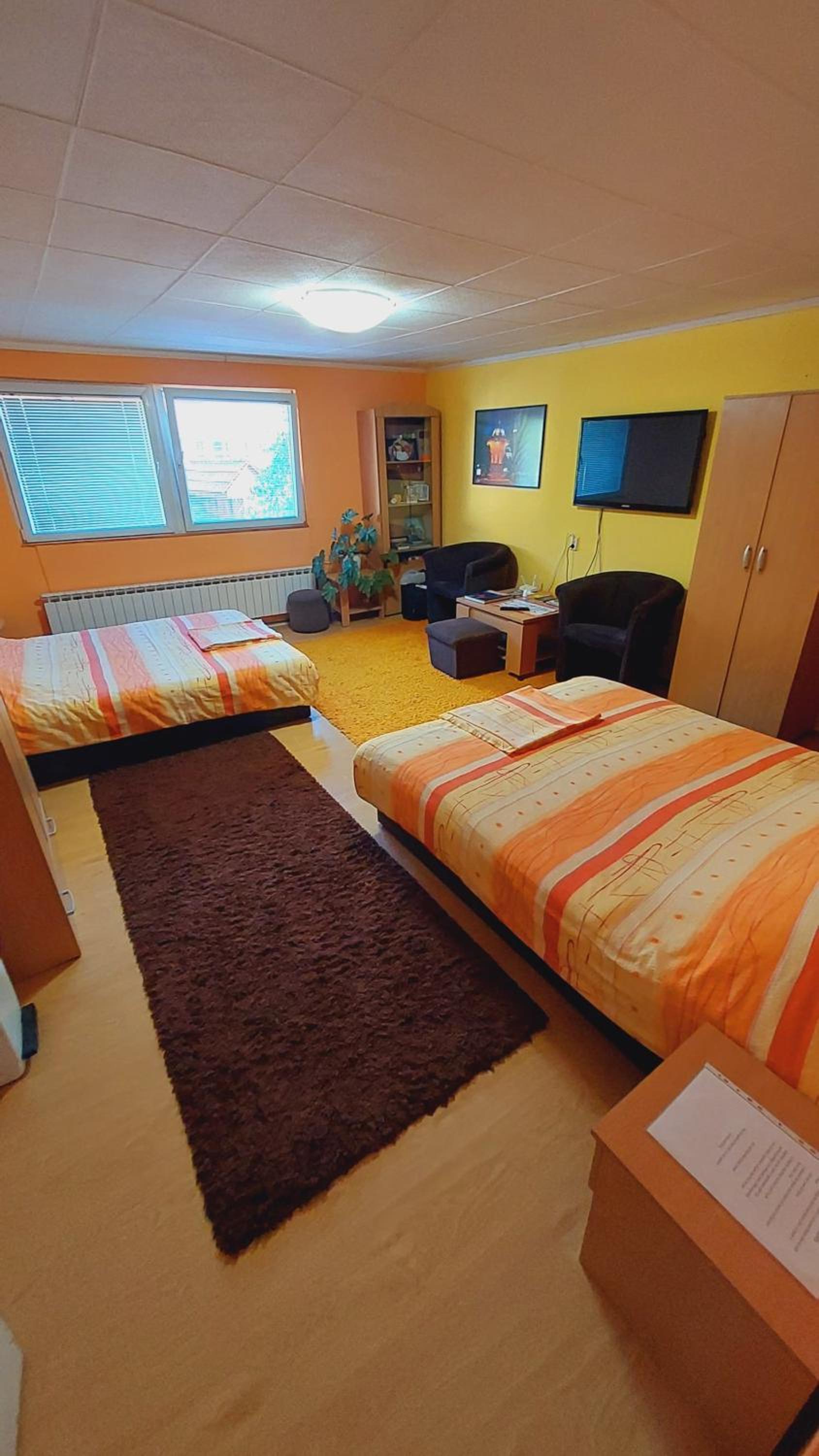 Deluxe One-Bedroom Apartment