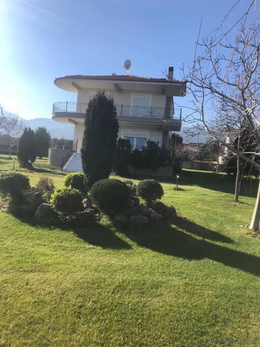 Deluxe Villa photo 2
