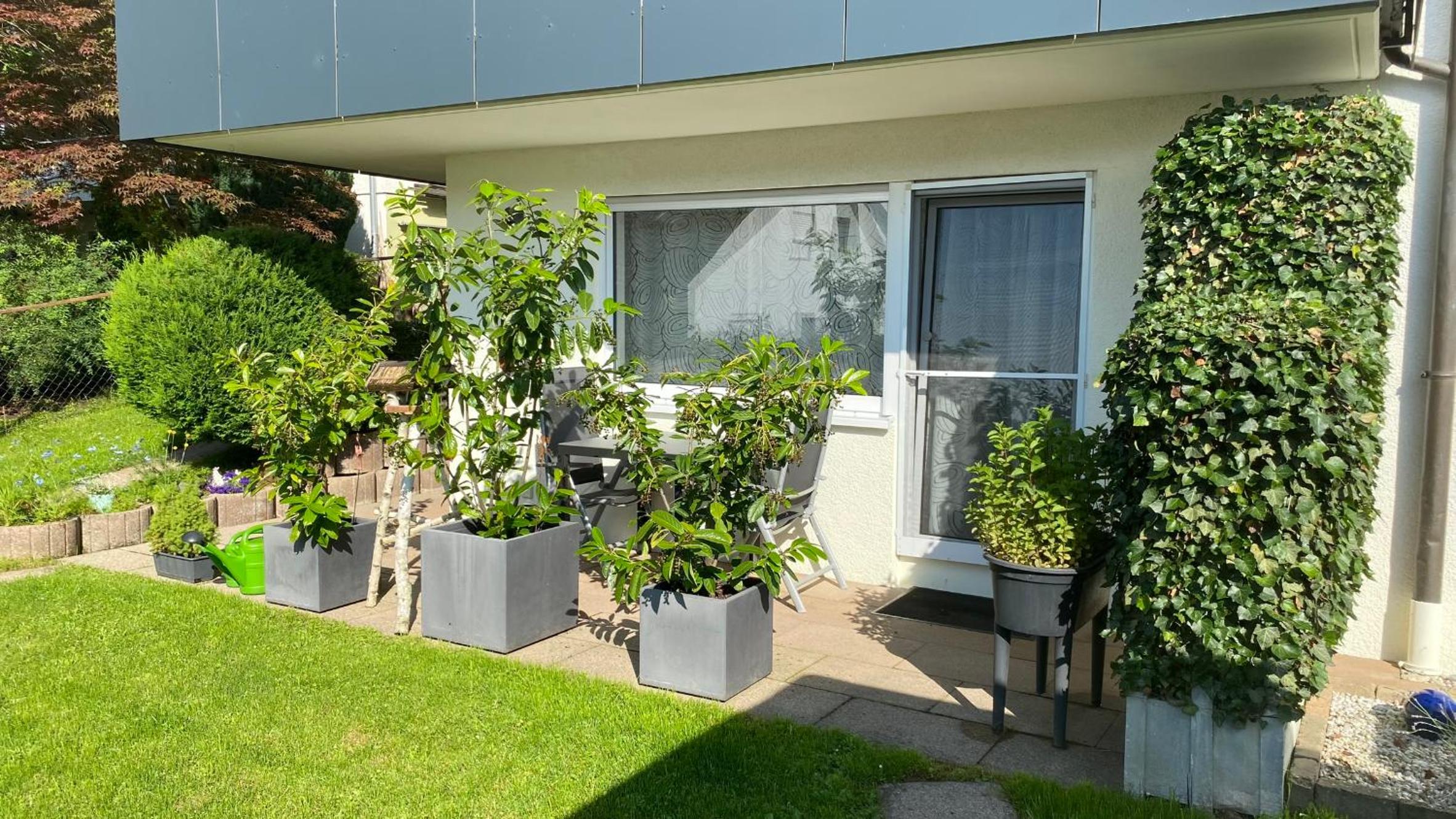 Apartment - Ground Floor photo 3