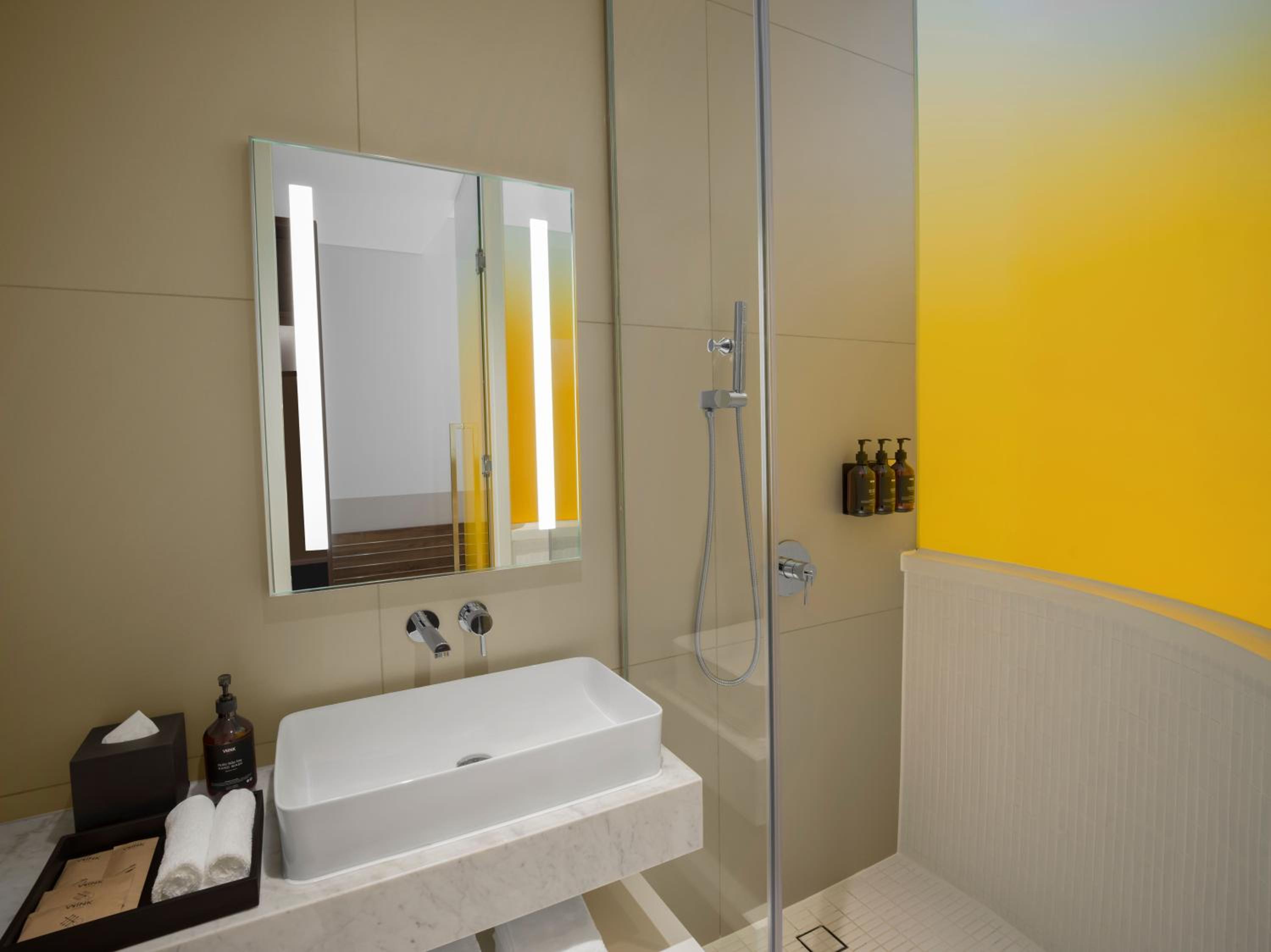 Deluxe Twin Room photo 2