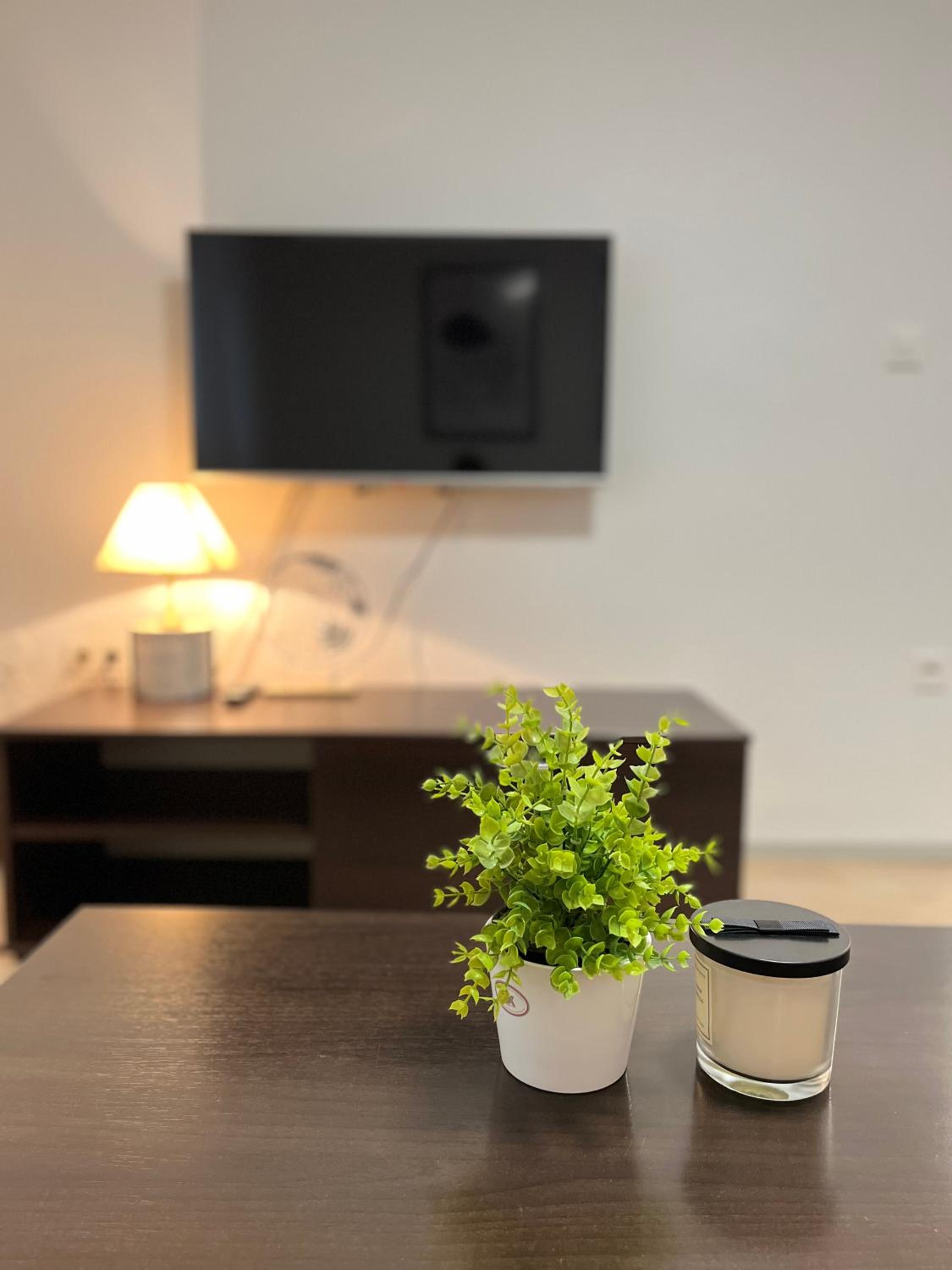 One-Bedroom Apartment photo 2