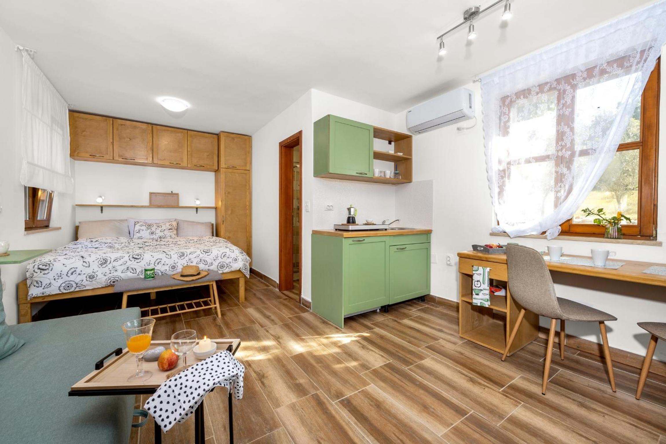 Studio Apartment