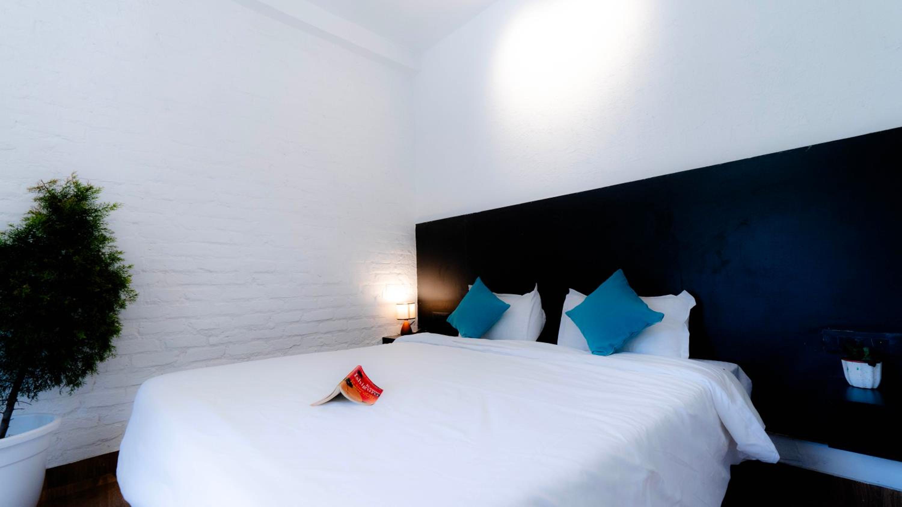 Comfort Quadruple Room - Photo 22