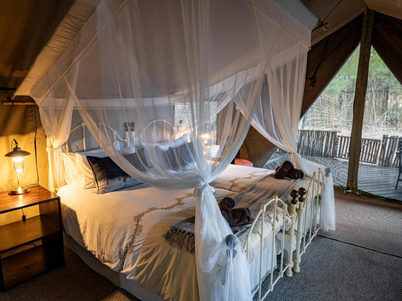 Tent photo 1