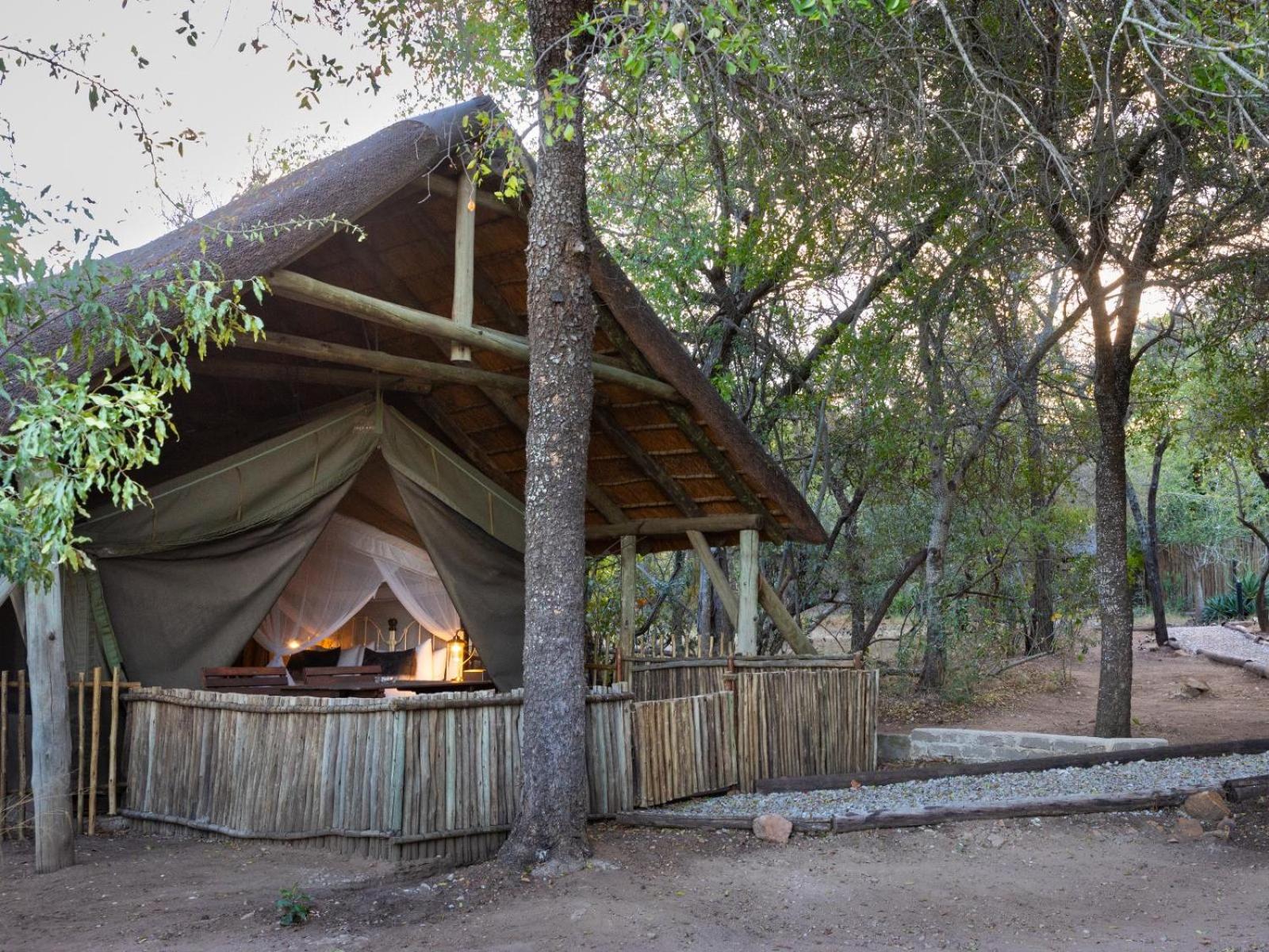 Twin Tent photo 3