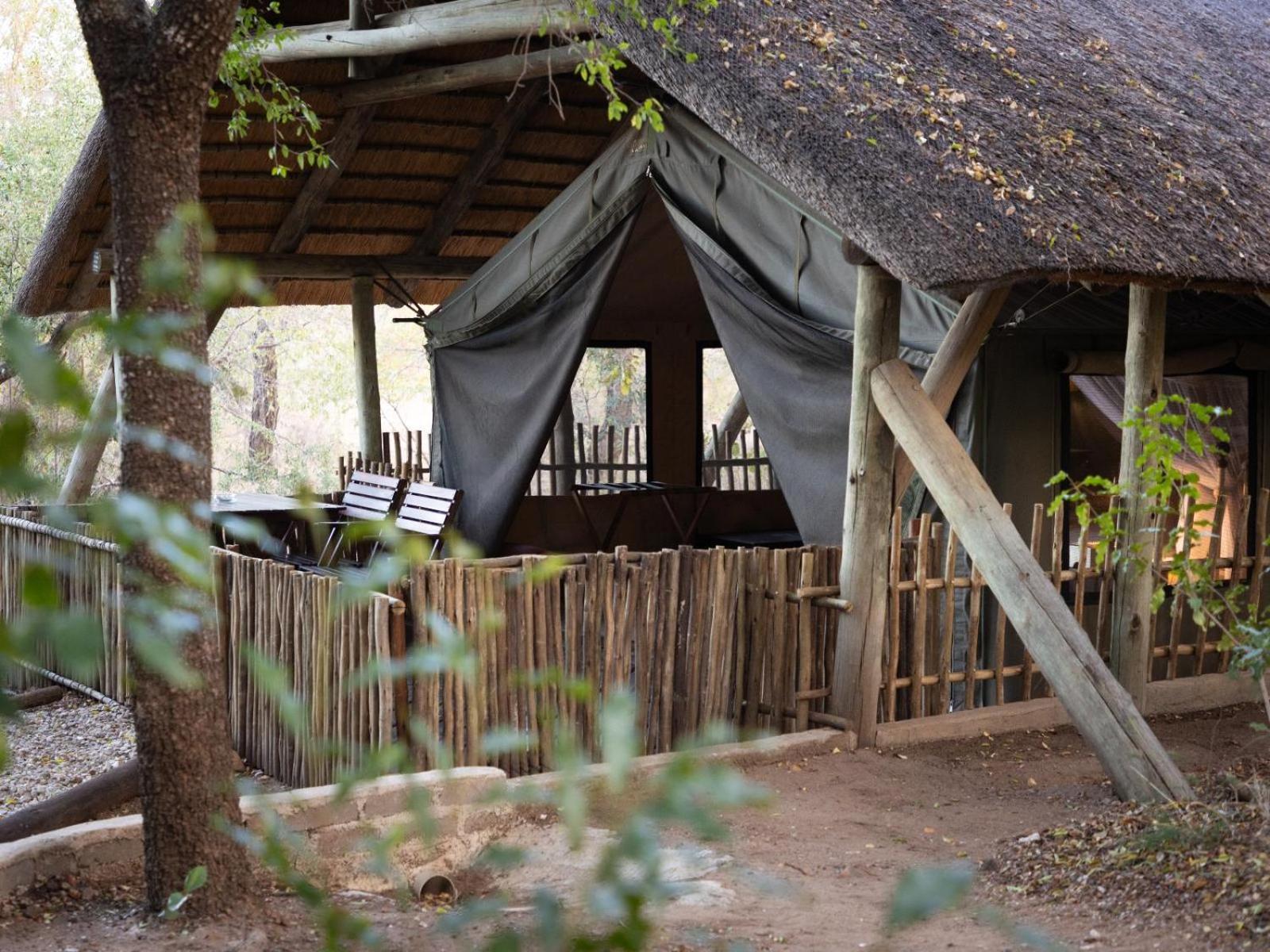 Tent photo 2