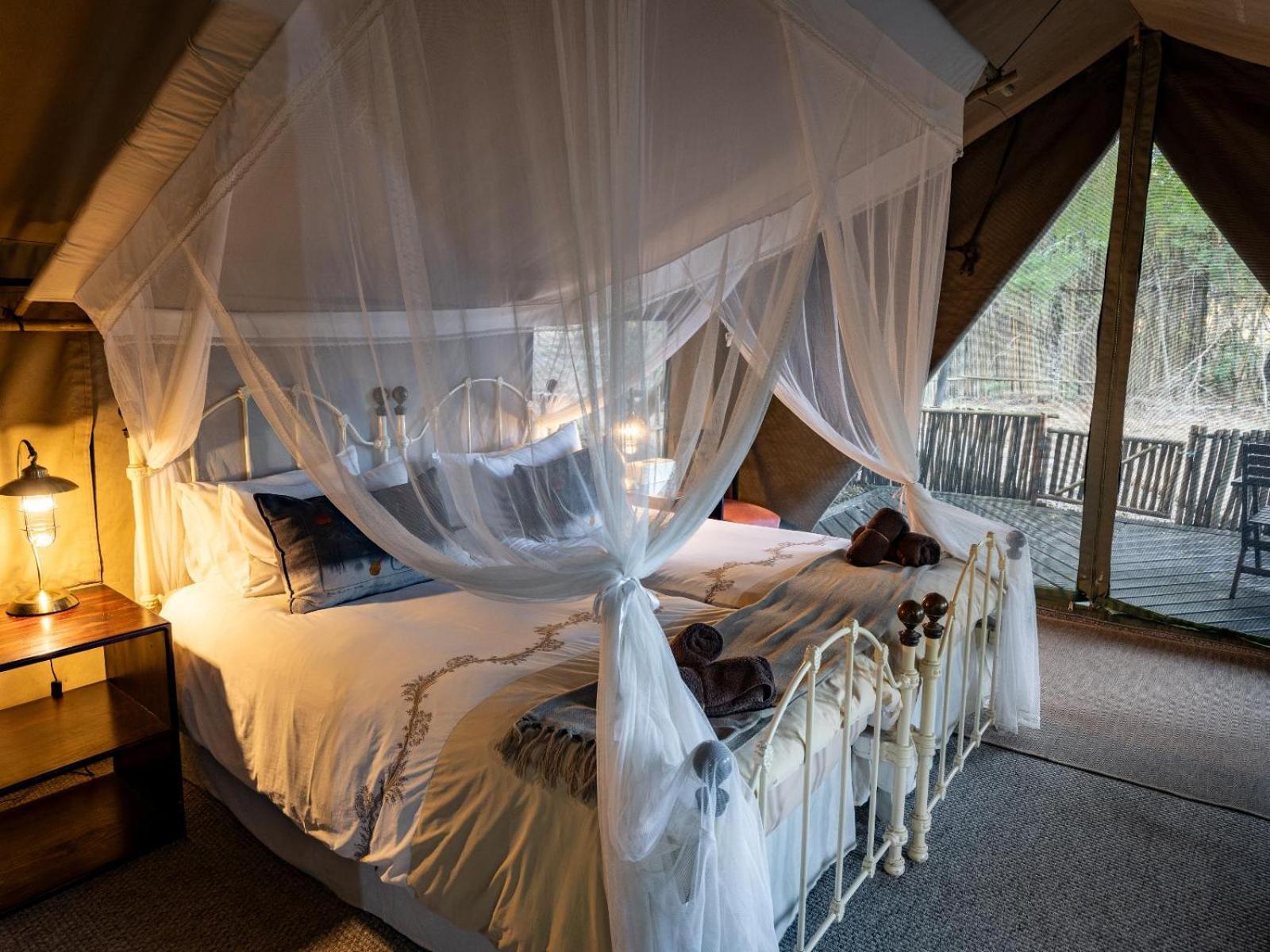 Twin Tent photo 1