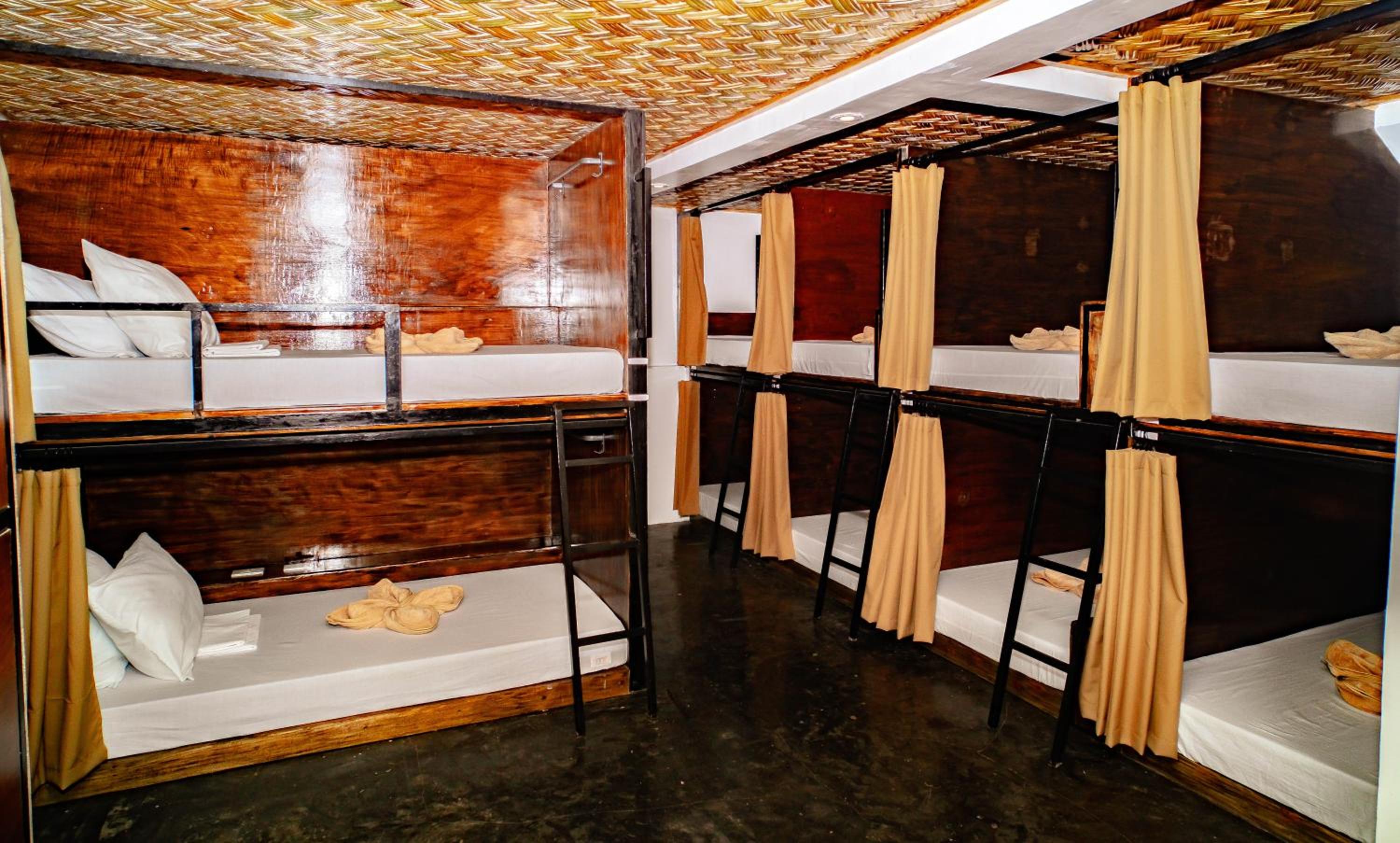 Bunk Bed in Mixed Dormitory Room photo 3