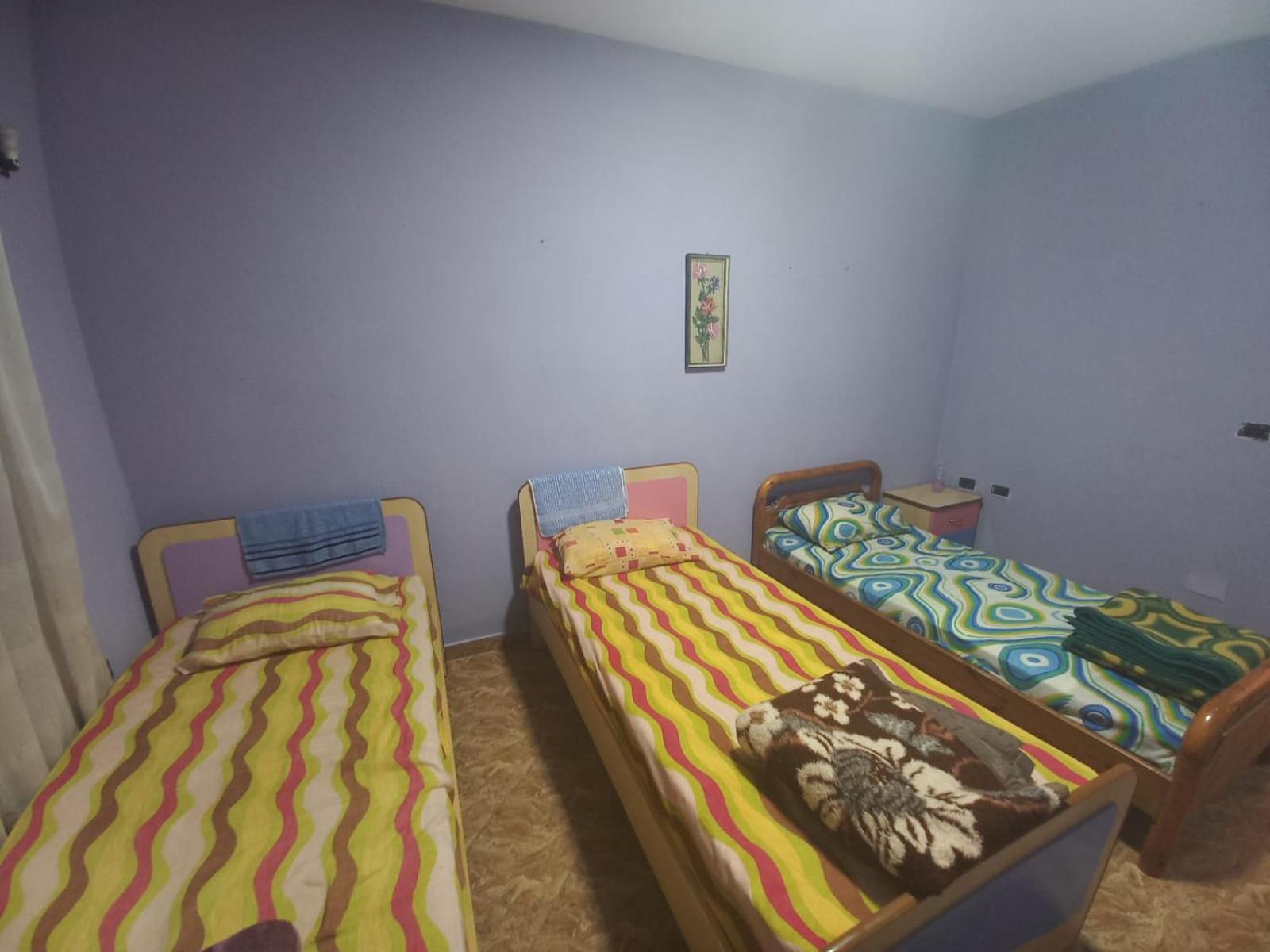 4-Bed Female Dormitory Room photo 1
