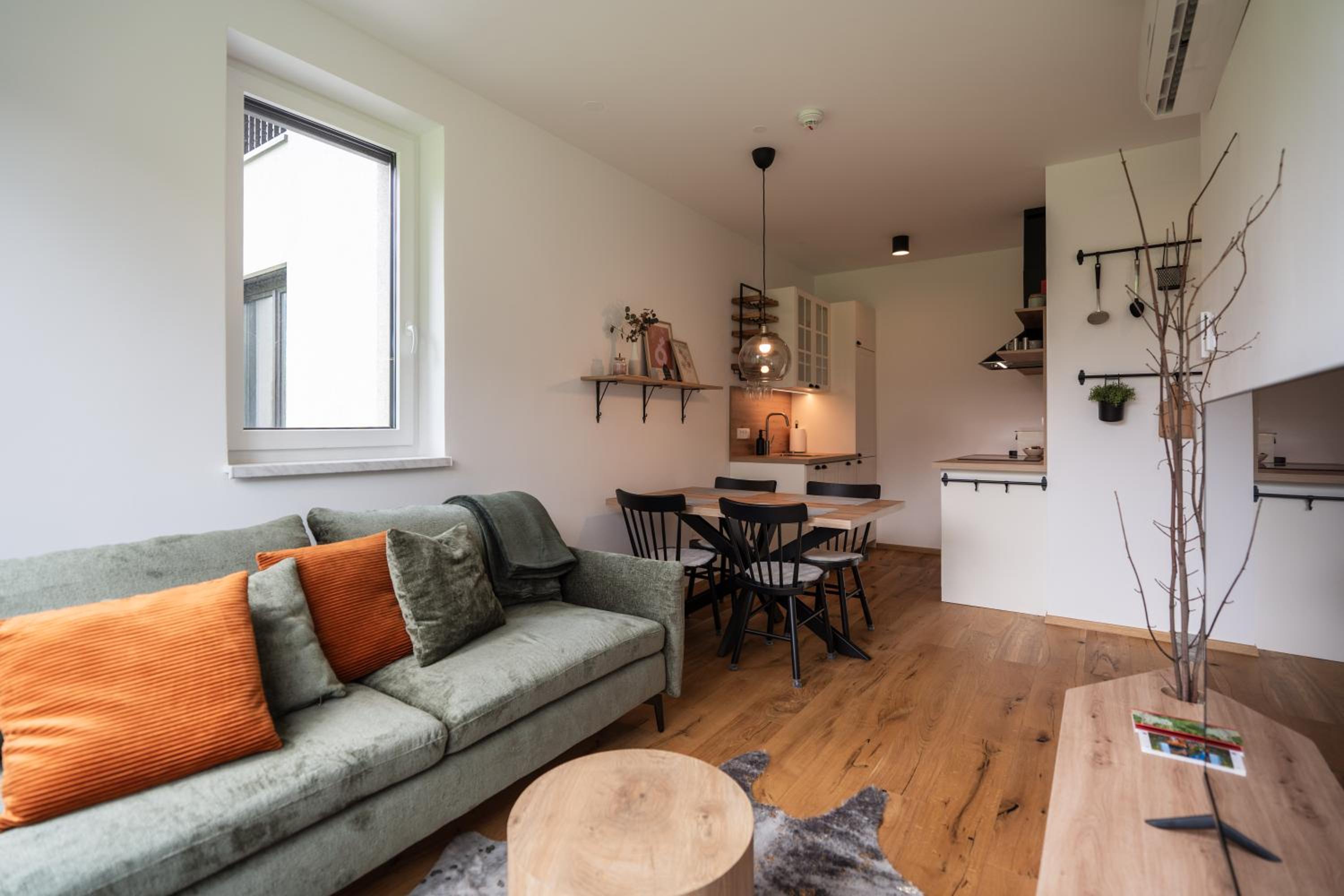Apartment with Mountain View photo 1