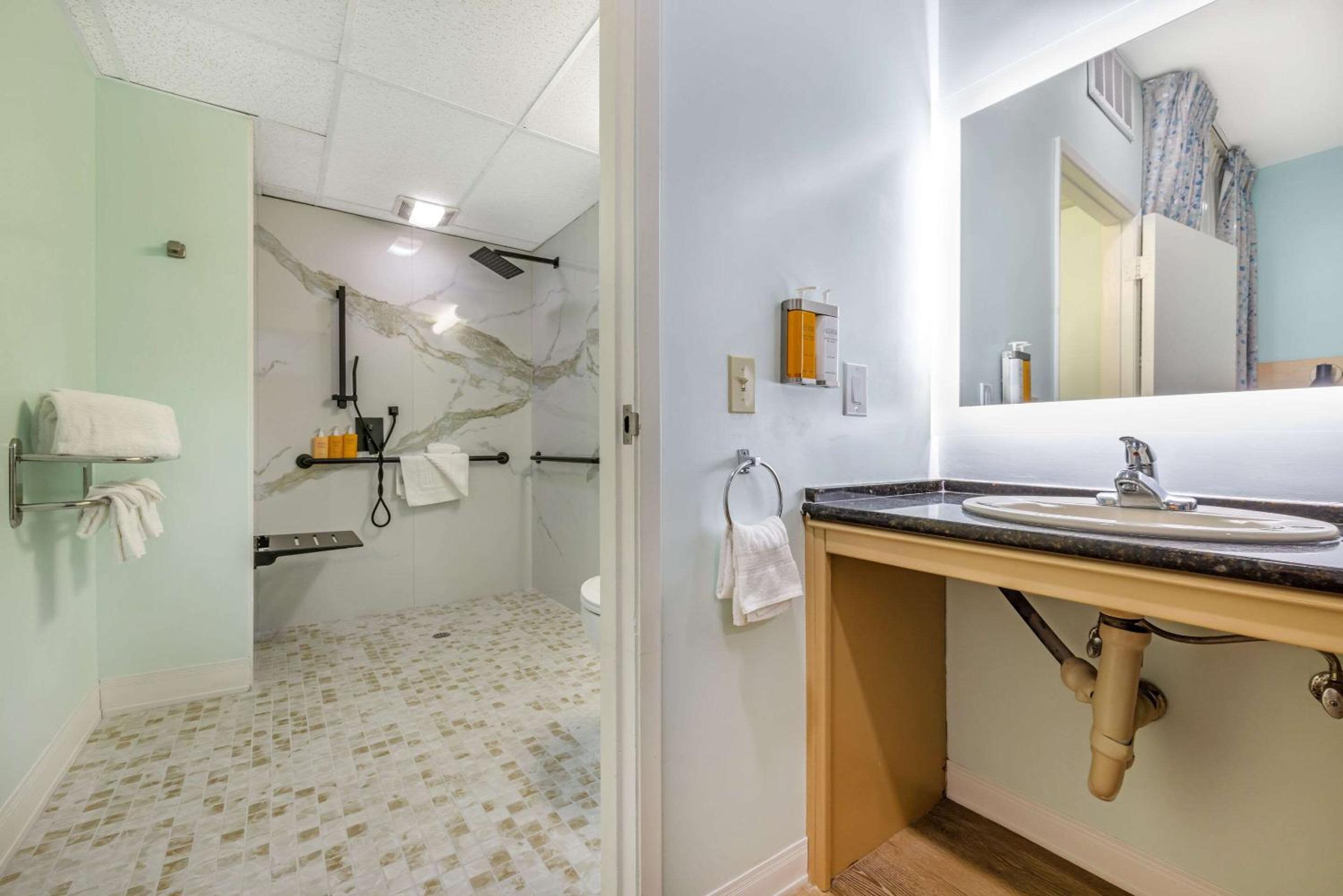 King Suite with Roll-In Shower - Accessible/Non-Smoking, photo 6