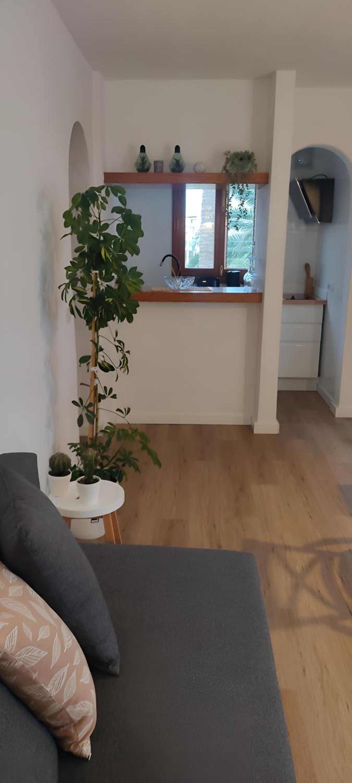 One-Bedroom Apartment thumbnail 6