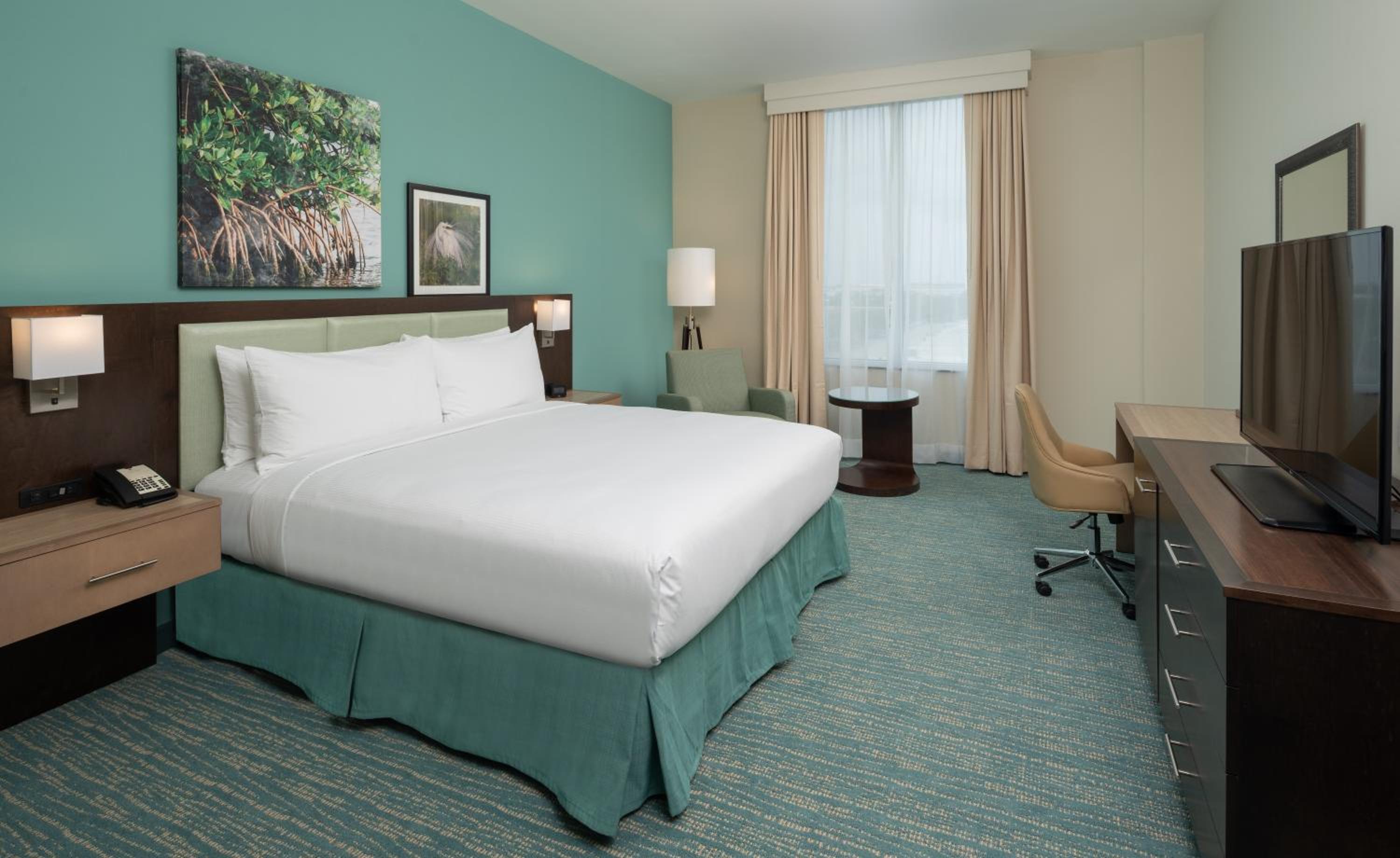 King Room - Hearing Access - Photo 4