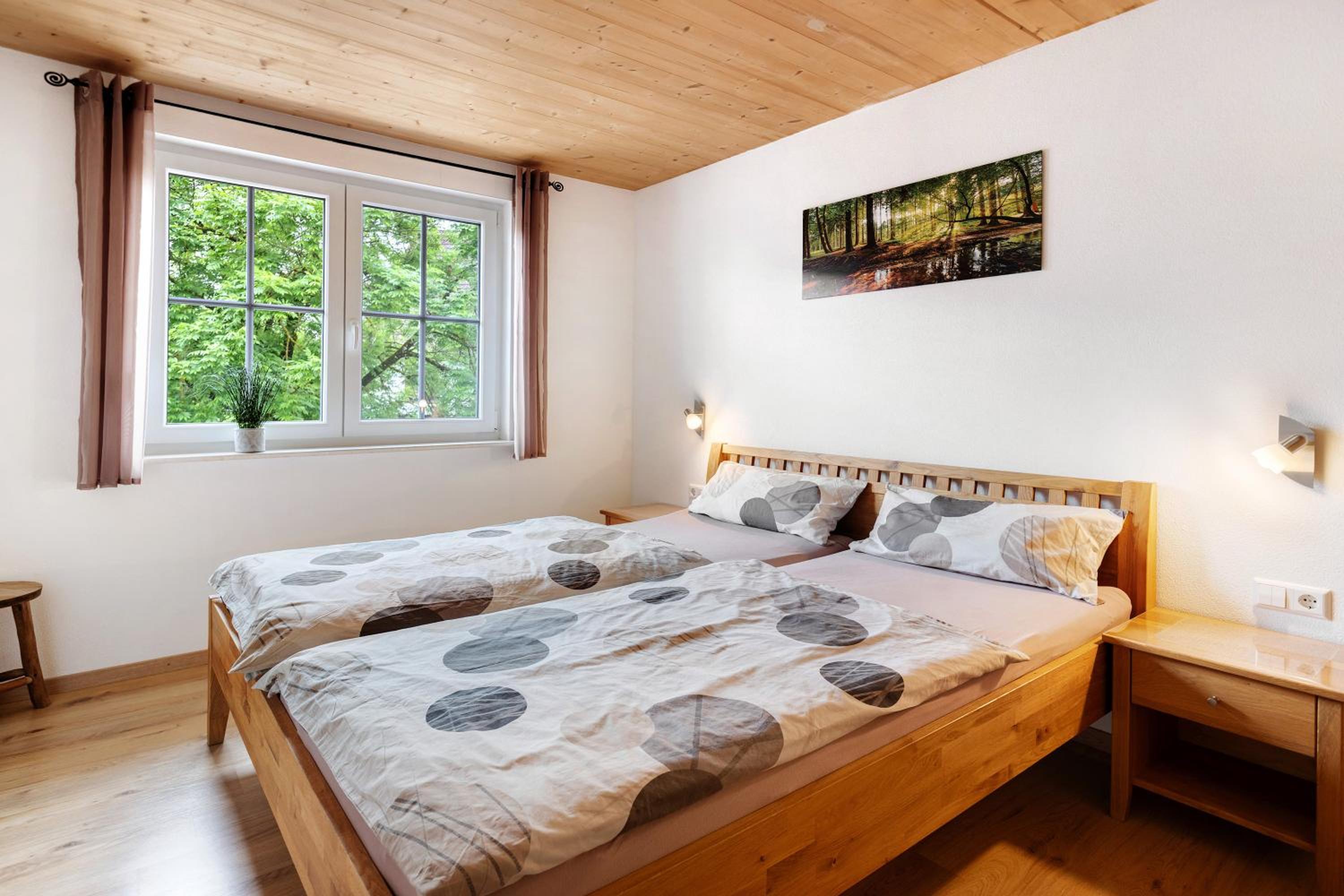 Superior One-Bedroom Apartment with Balcony photo 3