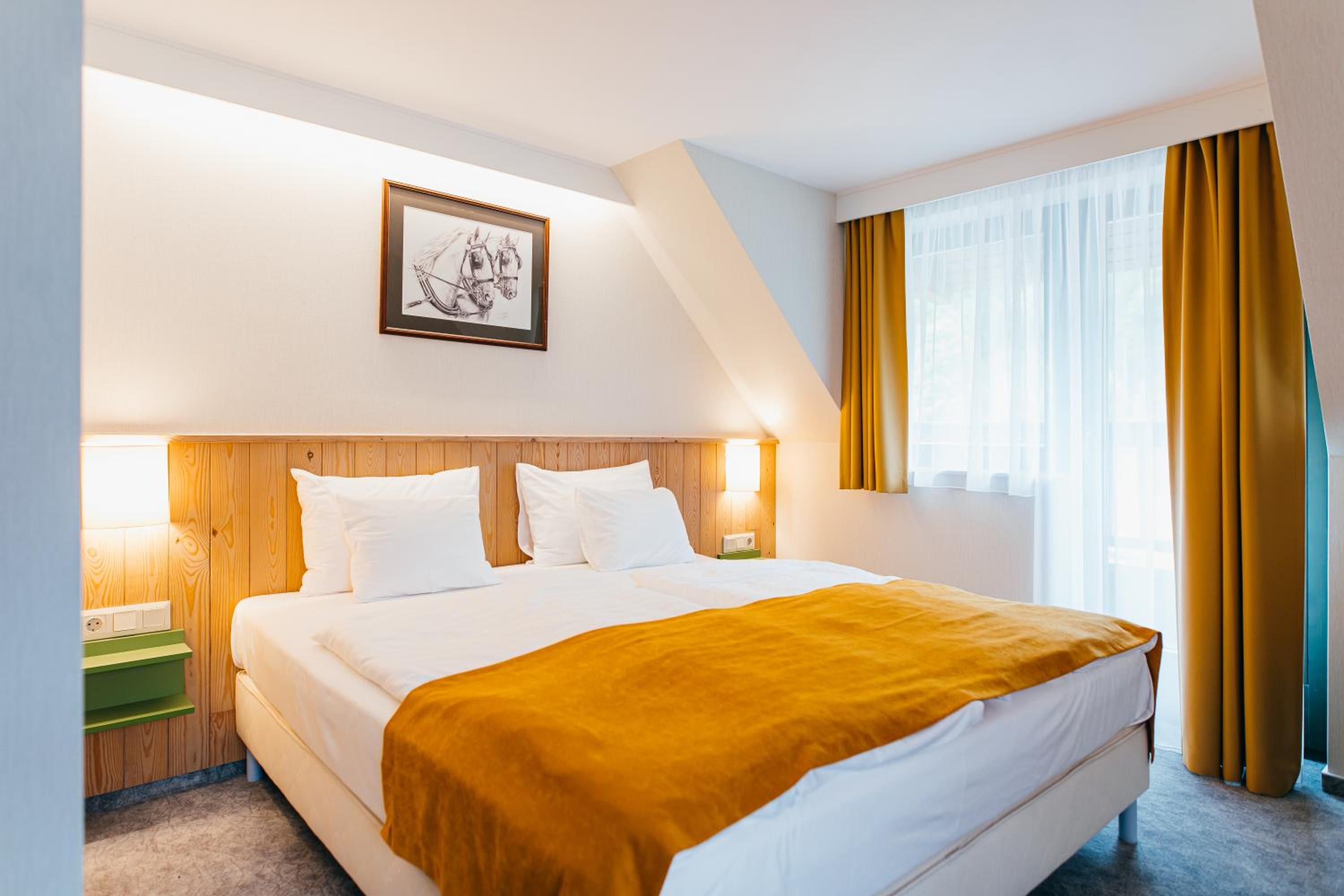 Standard Double or Twin Room