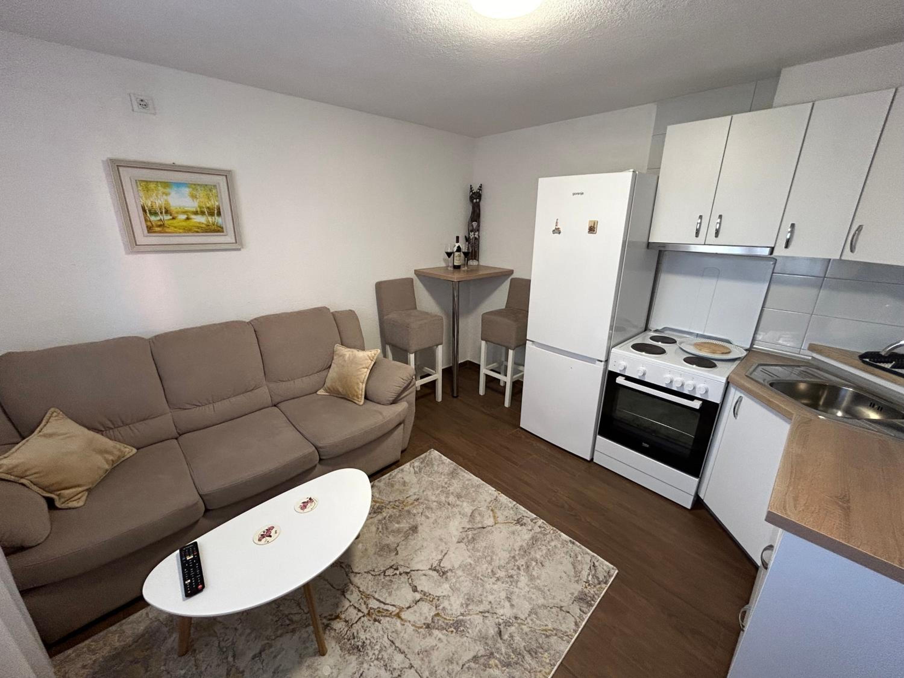 One-Bedroom Apartment photo 3