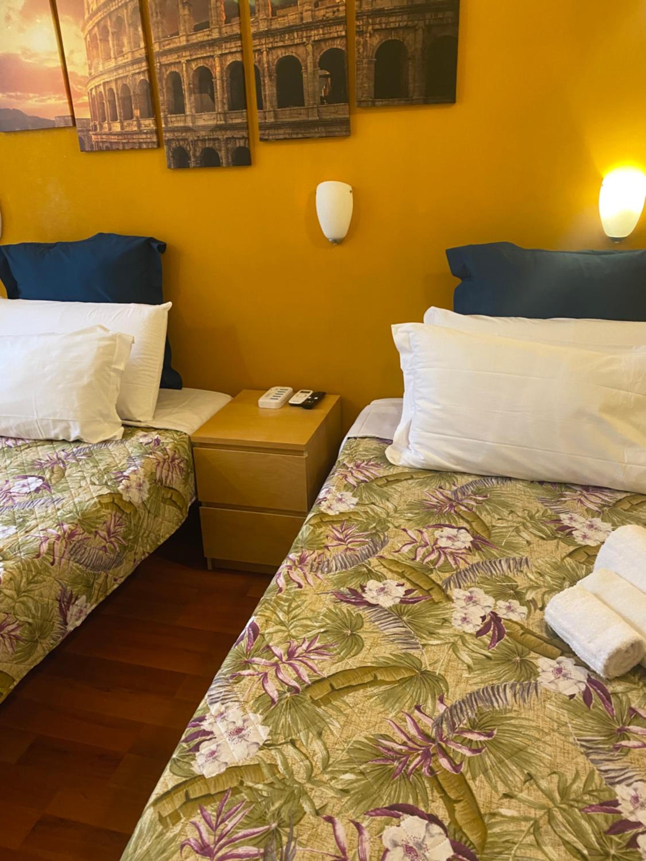 Double or Twin Room photo 1
