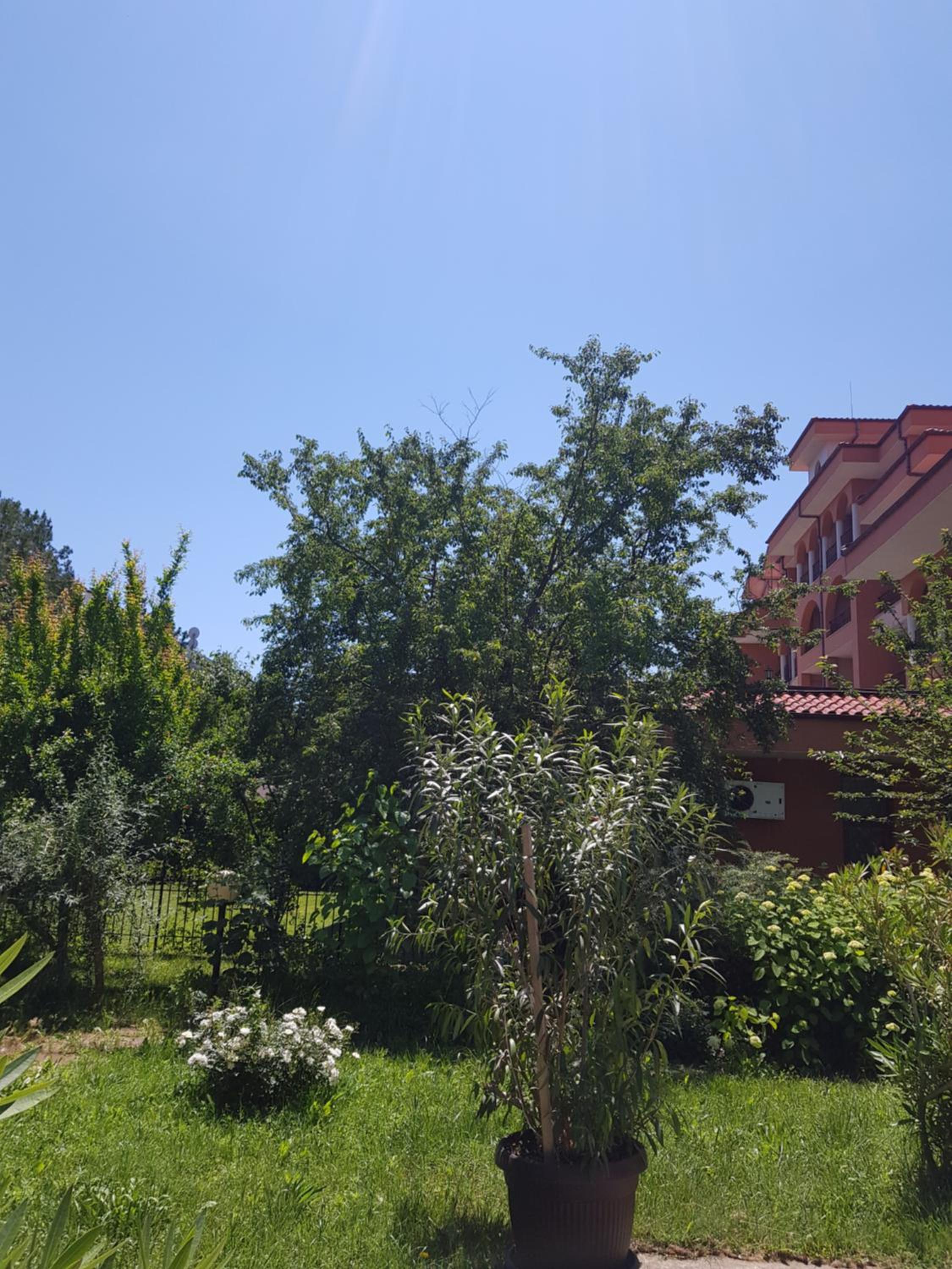 Double or Twin Room with Garden View photo 2