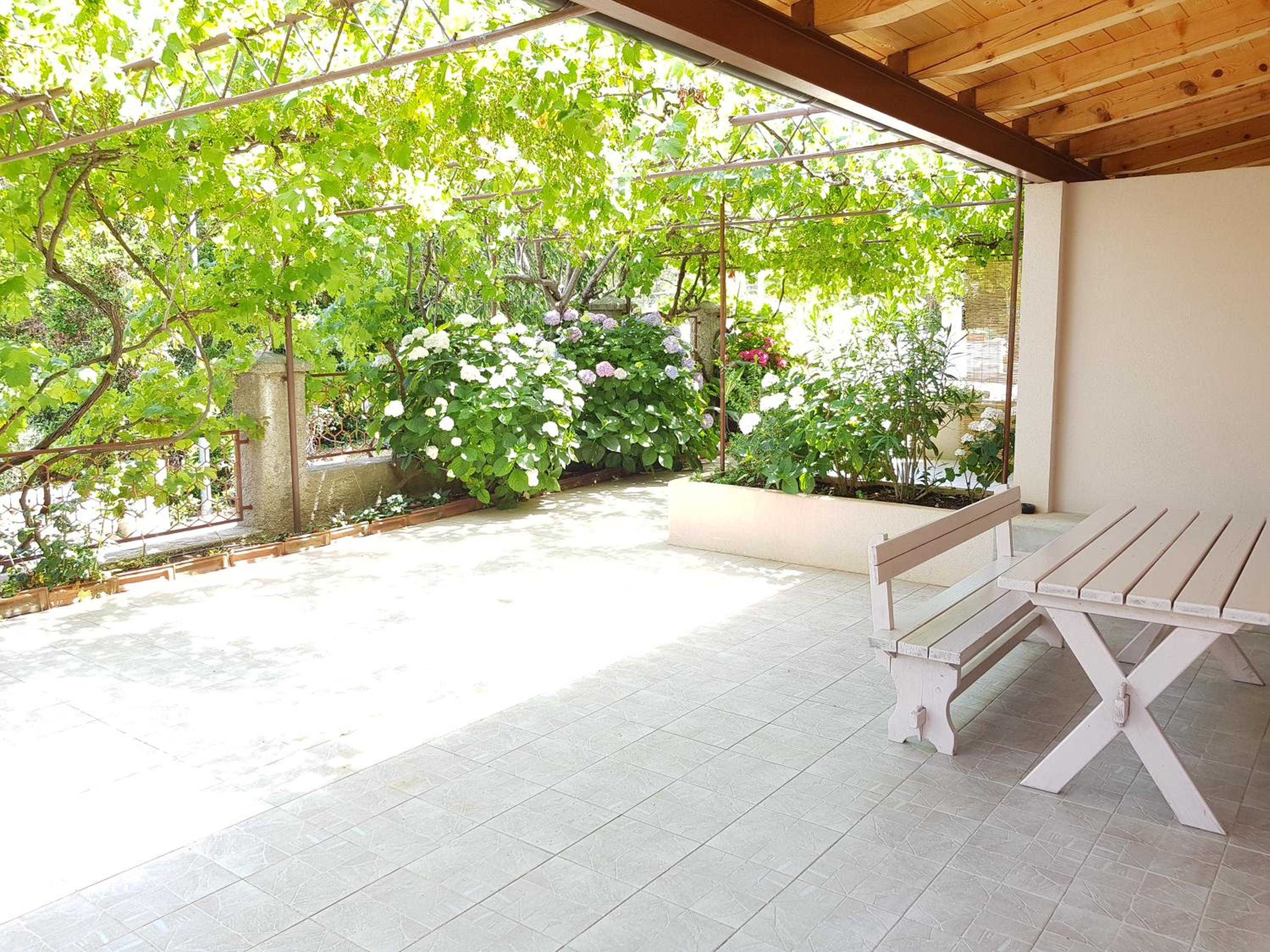 Apartment with Terrace photo 2