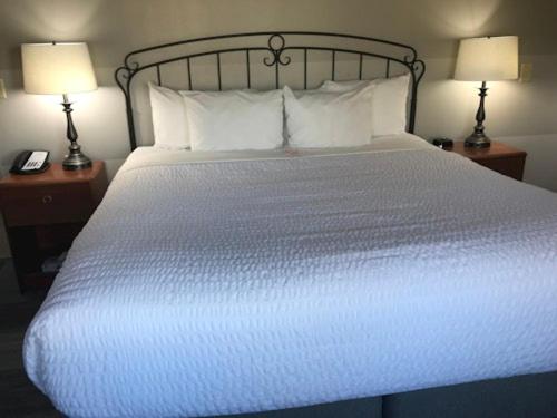 Superior King Room photo 1