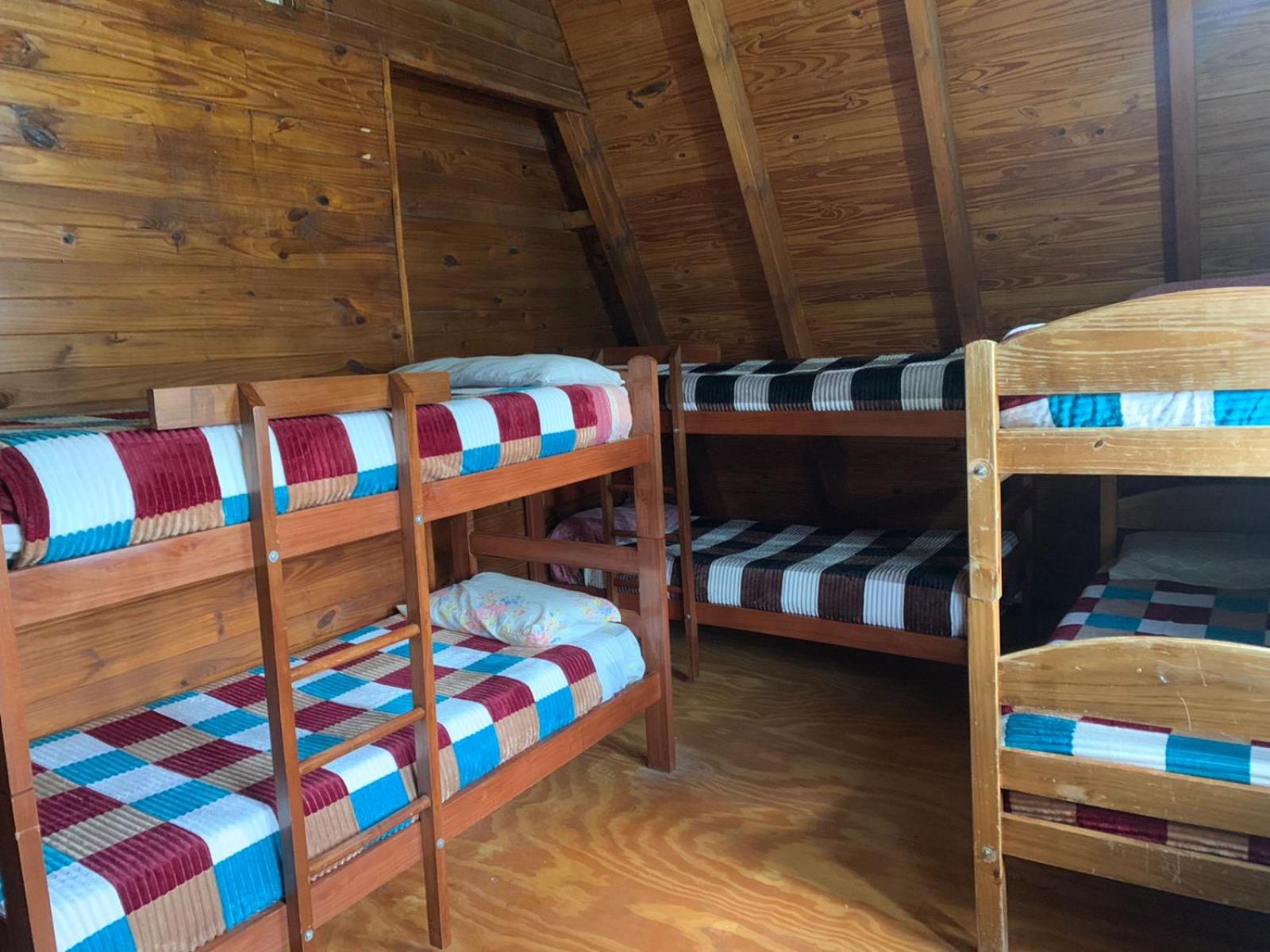 Bed In 6-Bed Dormitory Room photo 1