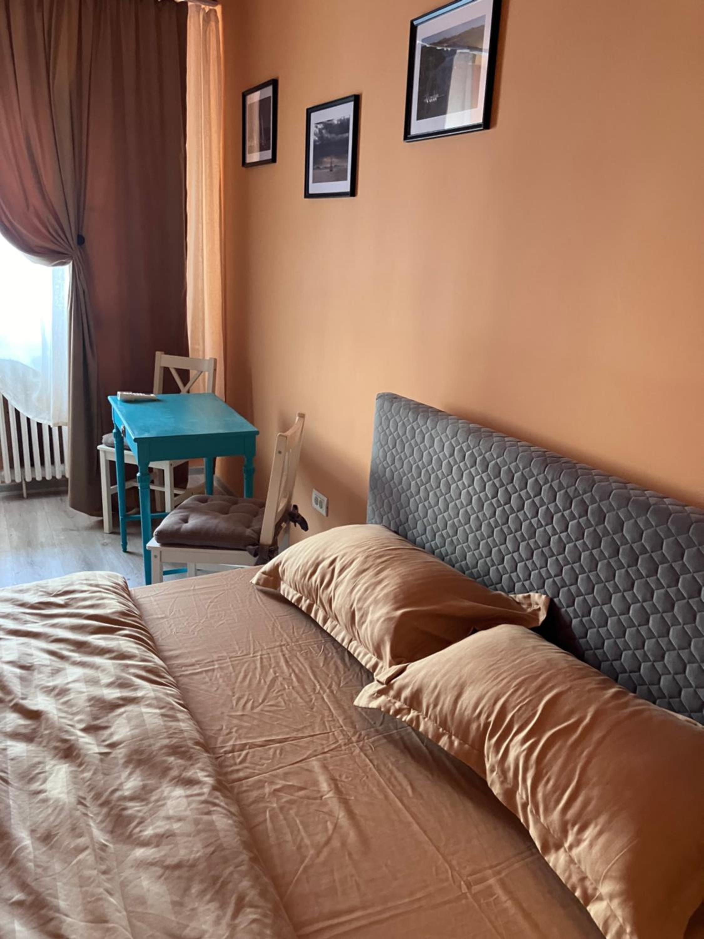 One-Bedroom Apartment photo 3