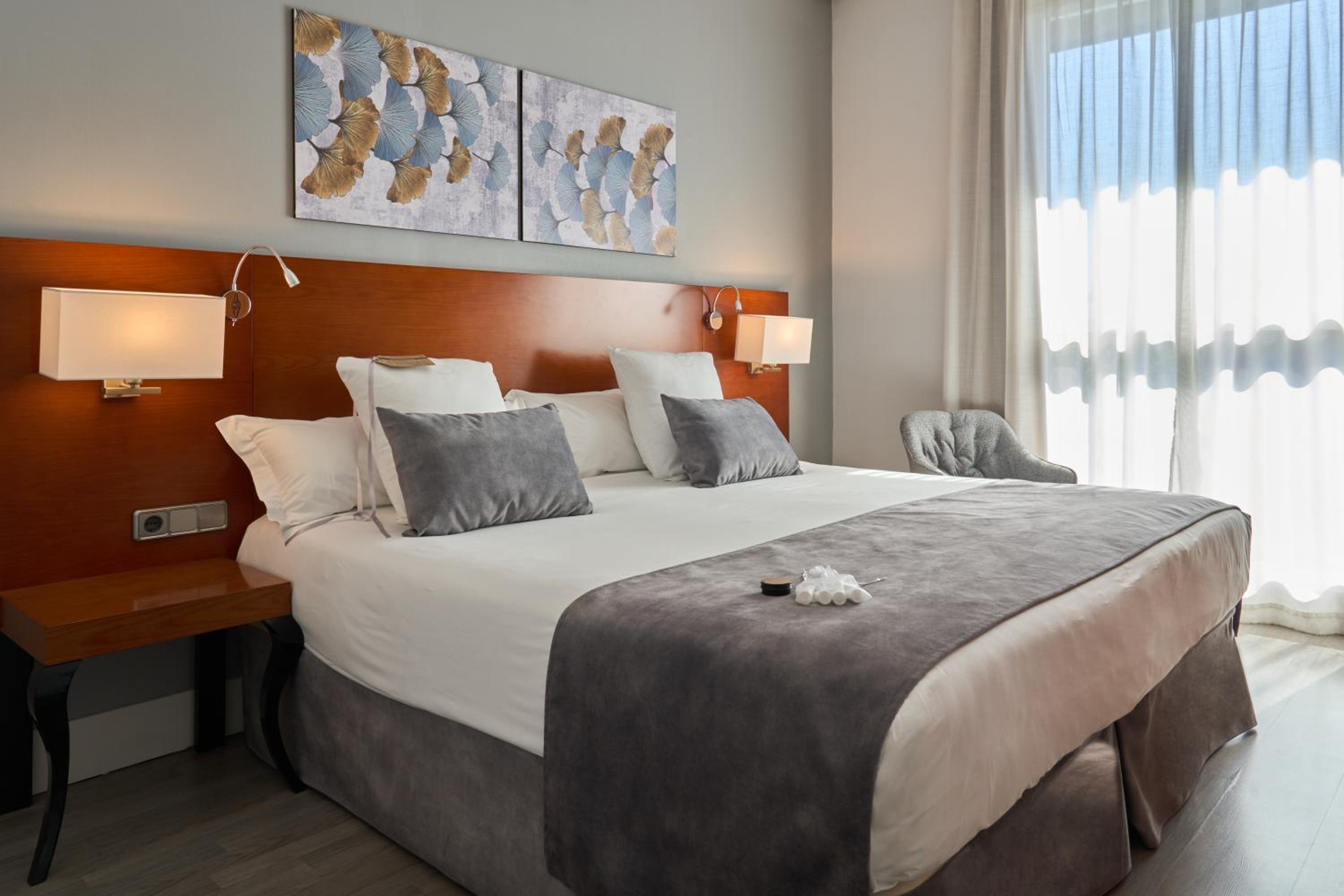 Superior Double or Twin Room - Photo 1