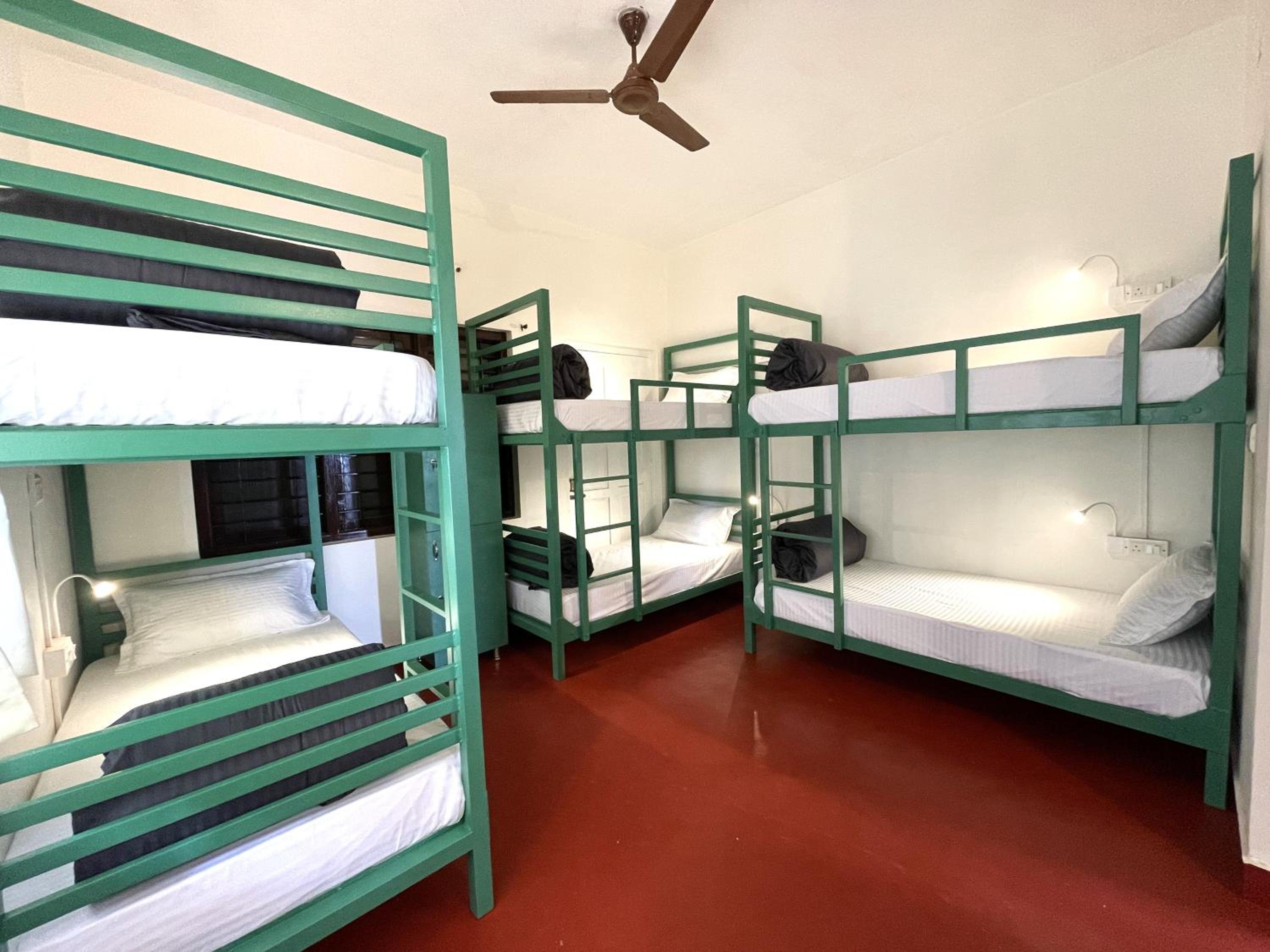 Bed in 6-Bed Female Dormitory Room photo 3