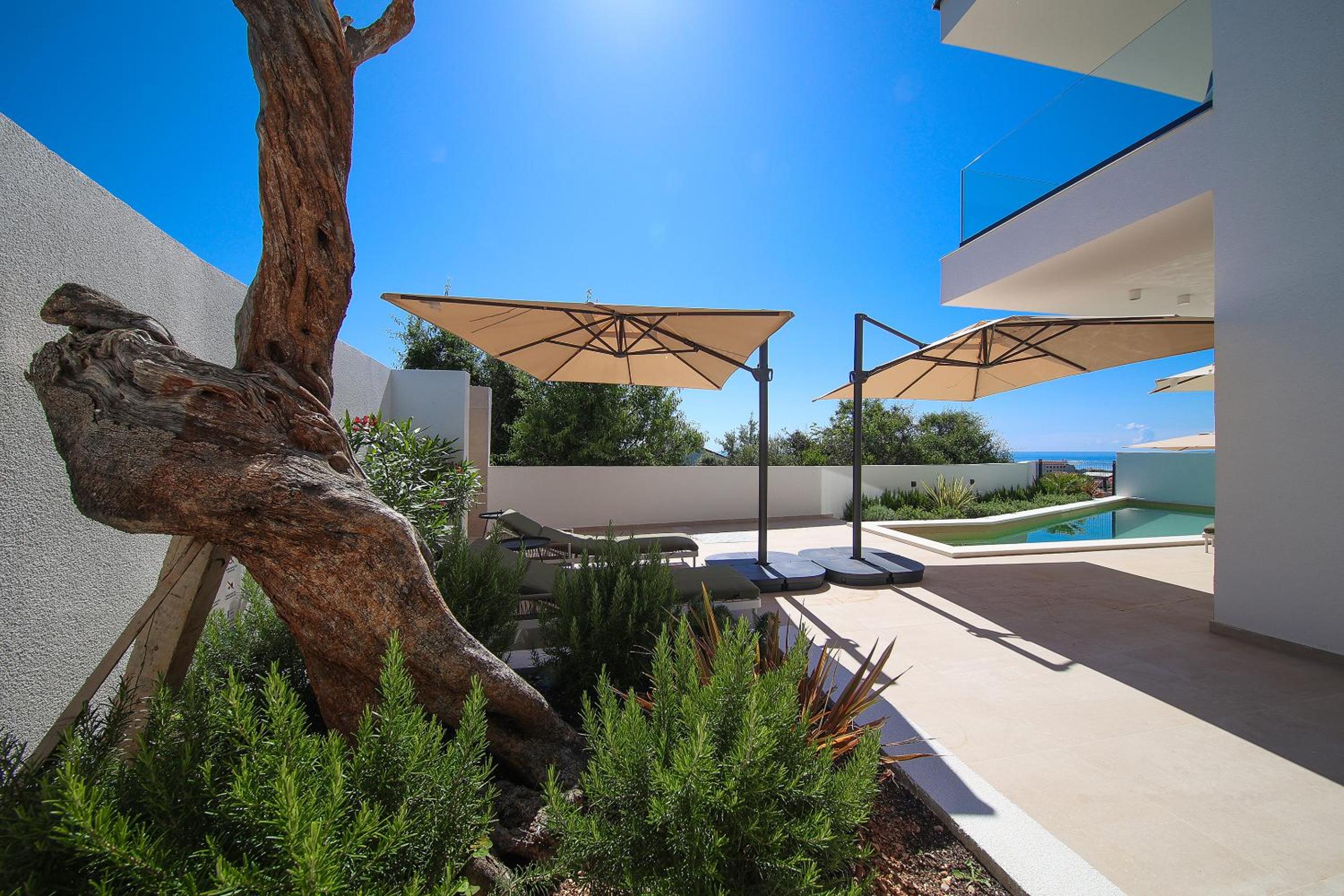 Three-Bedroom Villa photo 2