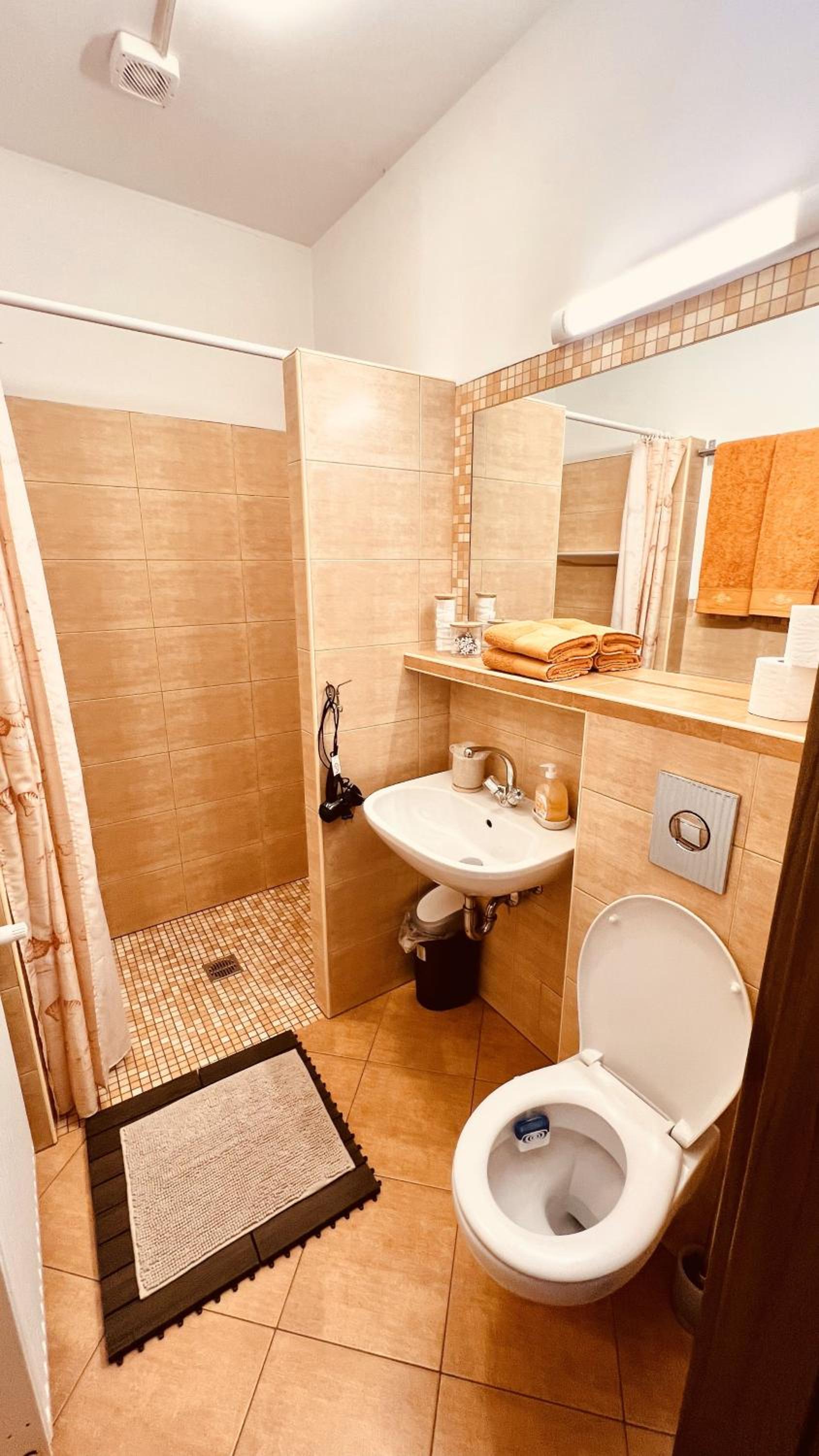 Family Room with Private Bathroom photo 2
