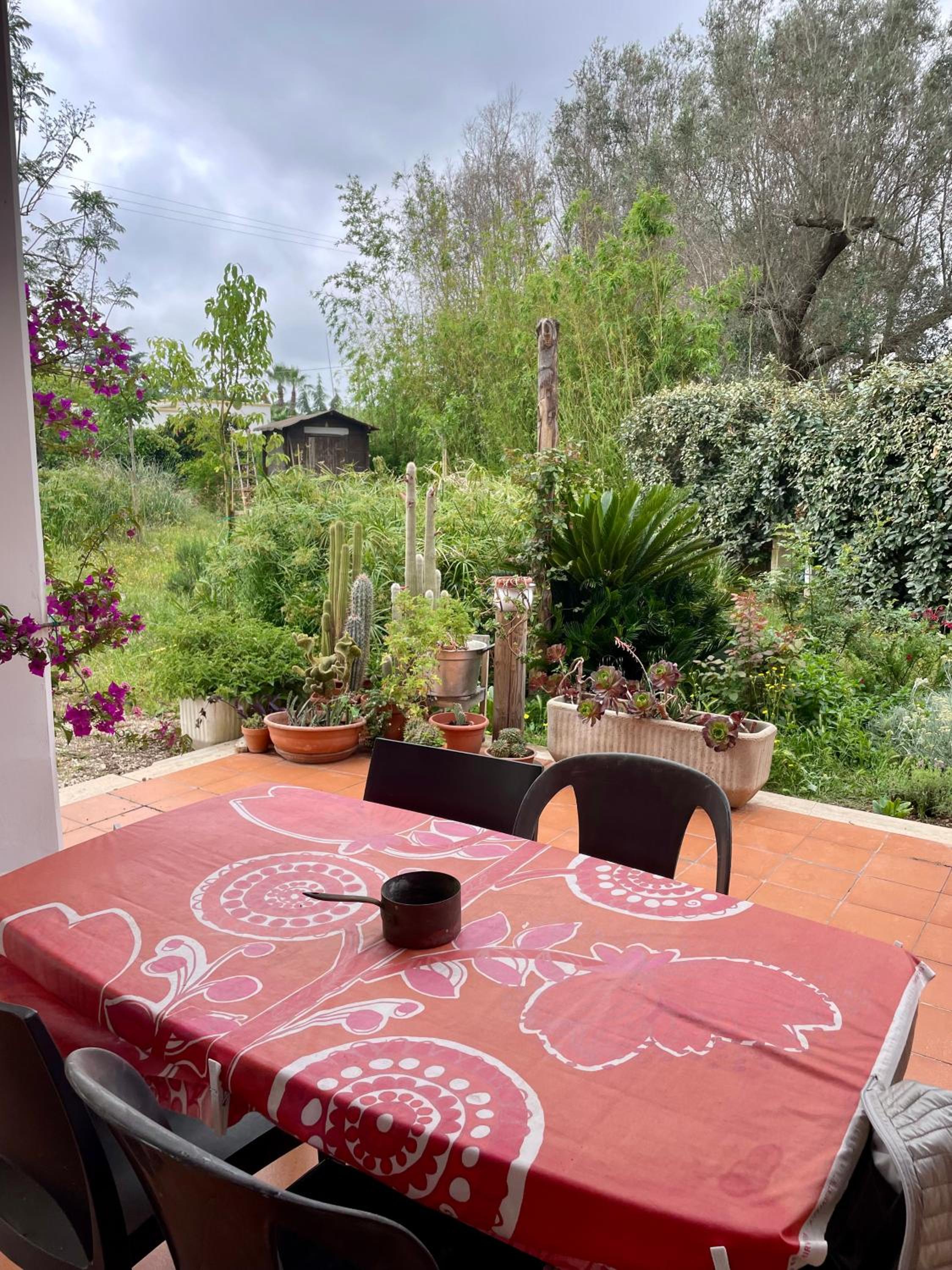 Double Room With Garden View photo 3