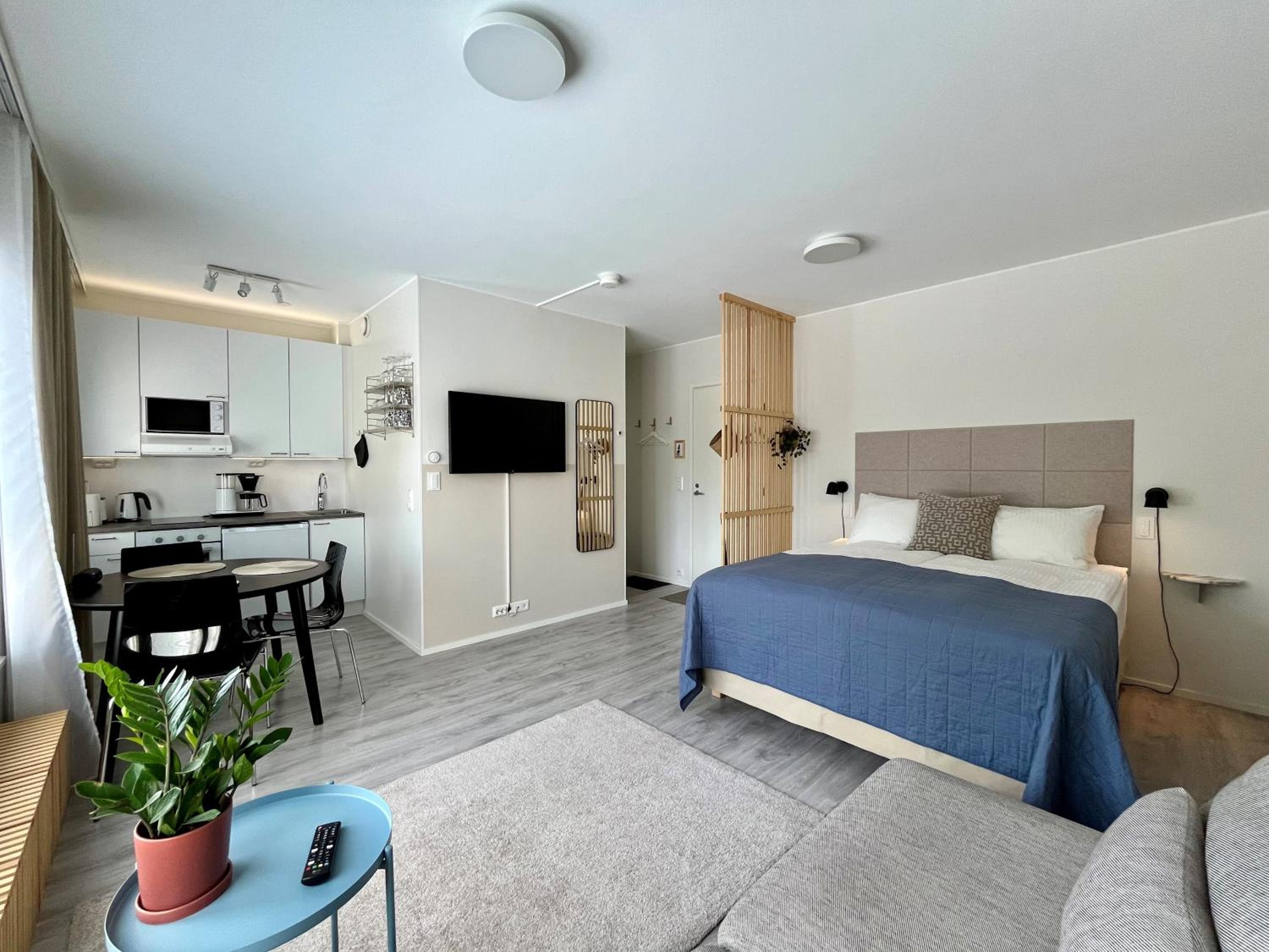 Studio Apartment photo 2