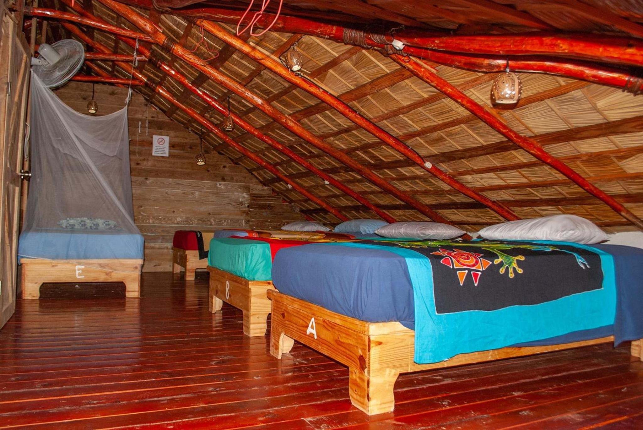 Single Bed in Female Dormitory Room