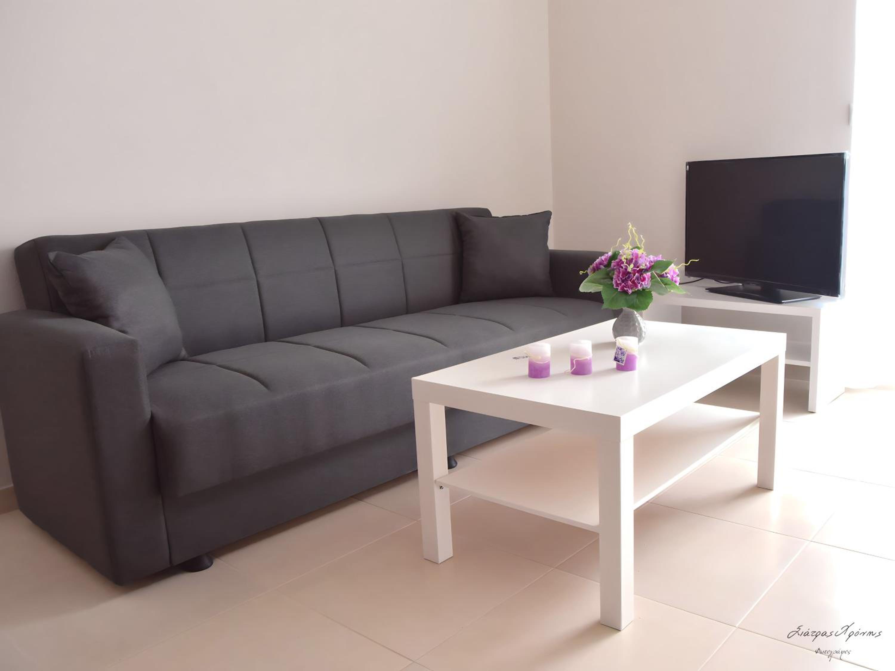 One-Bedroom Standard Apartment photo 1