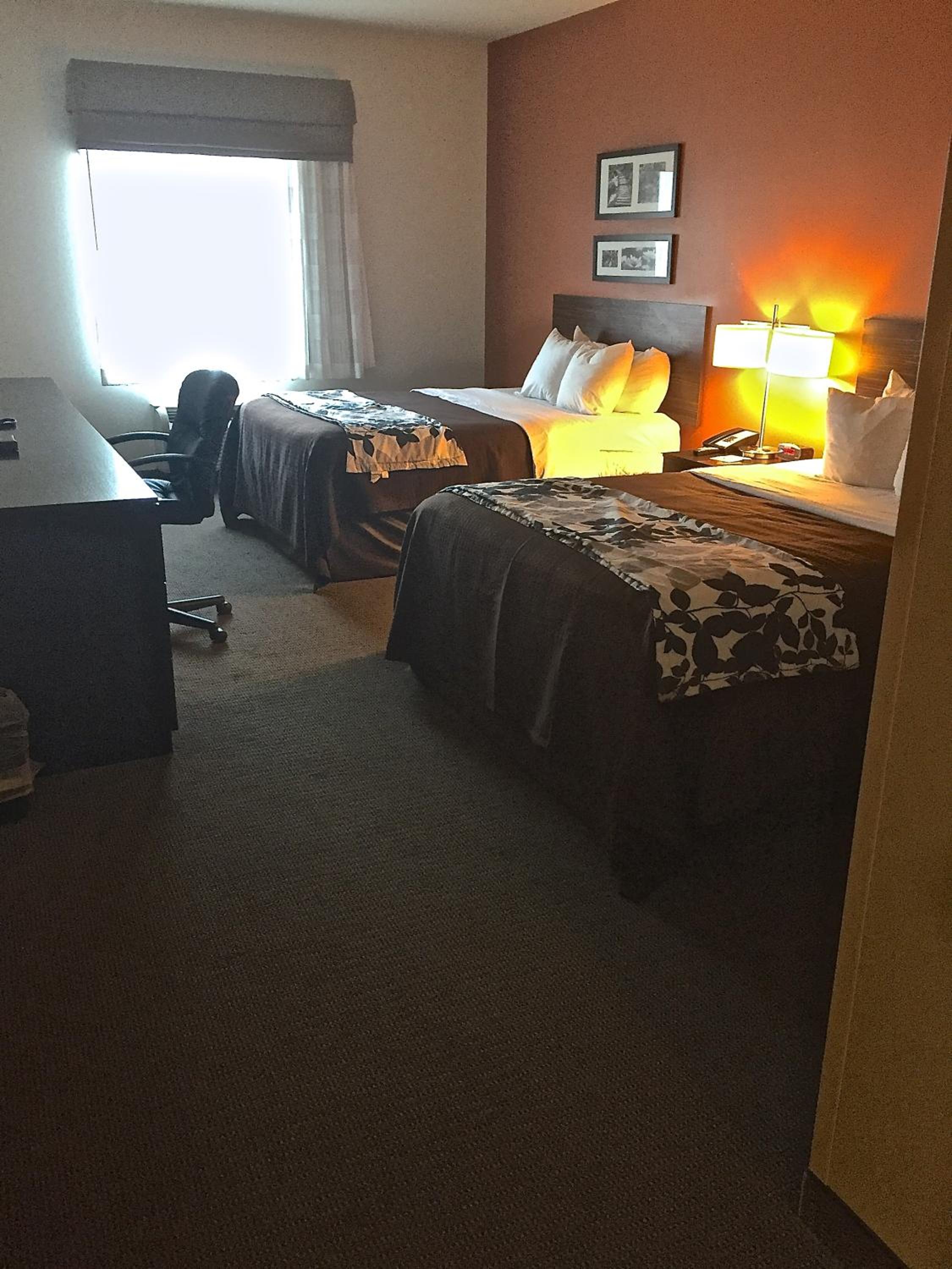 Queen Room with Two Queen Beds - Non-Smoking - Photo 12