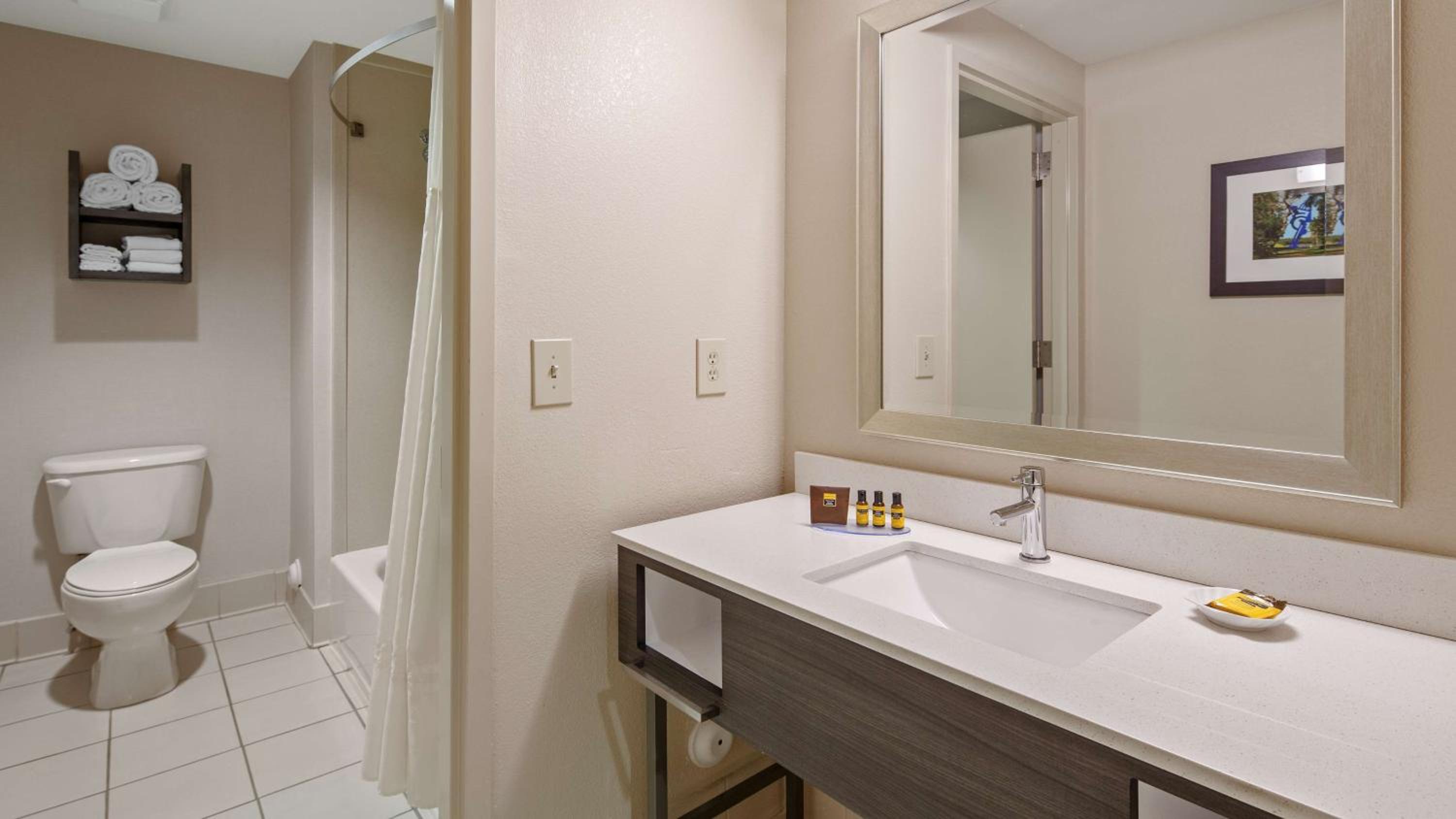 King Suite photo 2