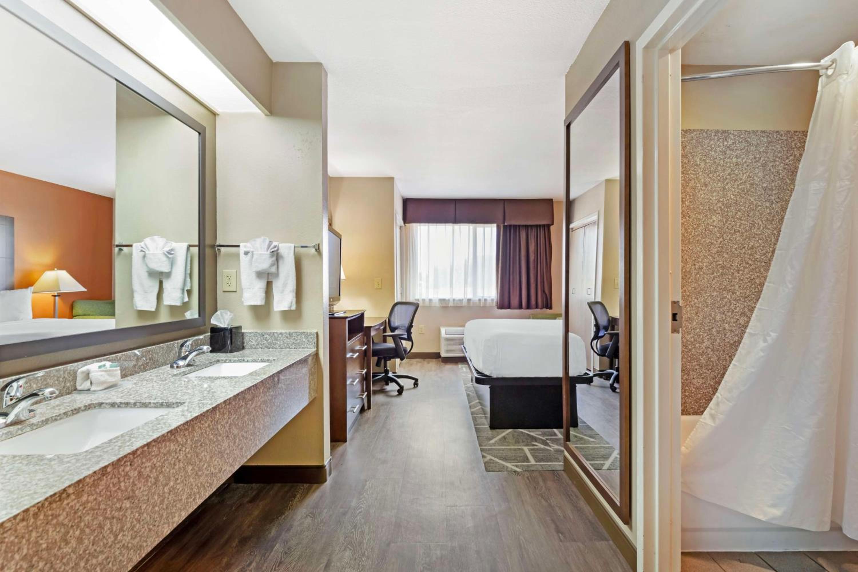 King Suite with Sofa Bed - Interior Entrance/Non-Smoking - Photo 4