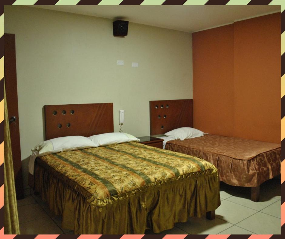 Twin Room photo 2