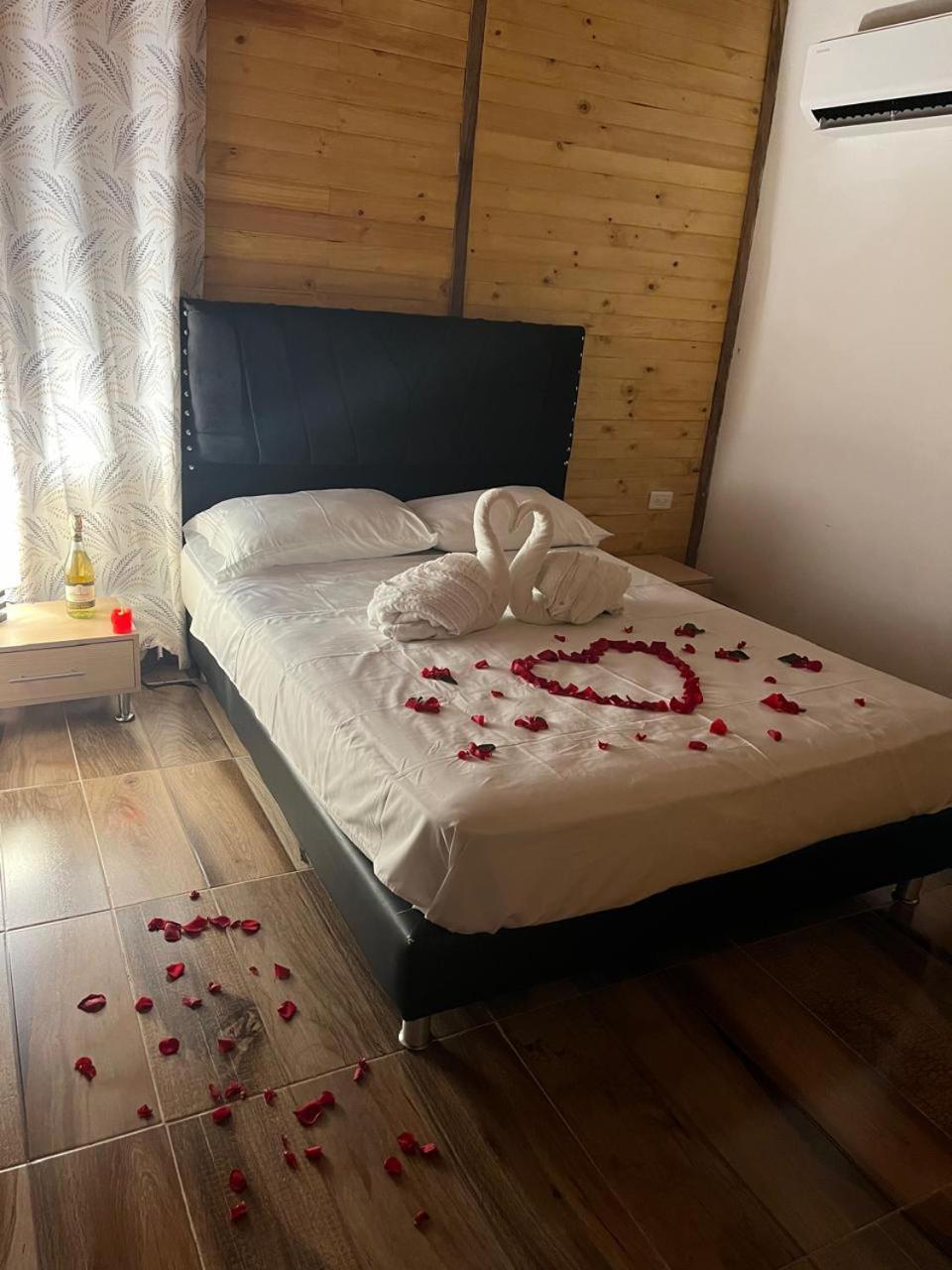 Double or Twin Room with Private Bathroom photo 1