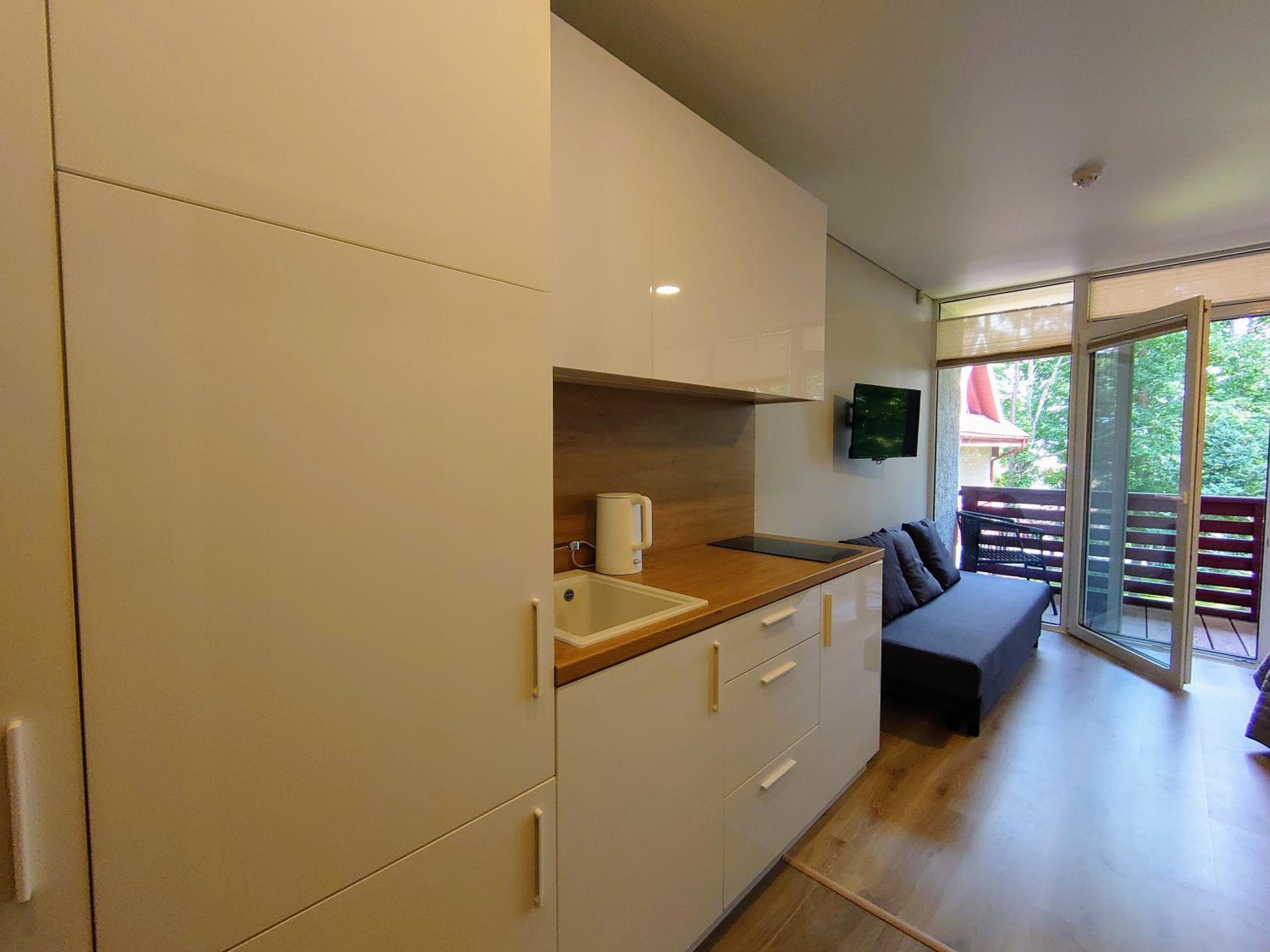 One-Bedroom Apartment photo 3