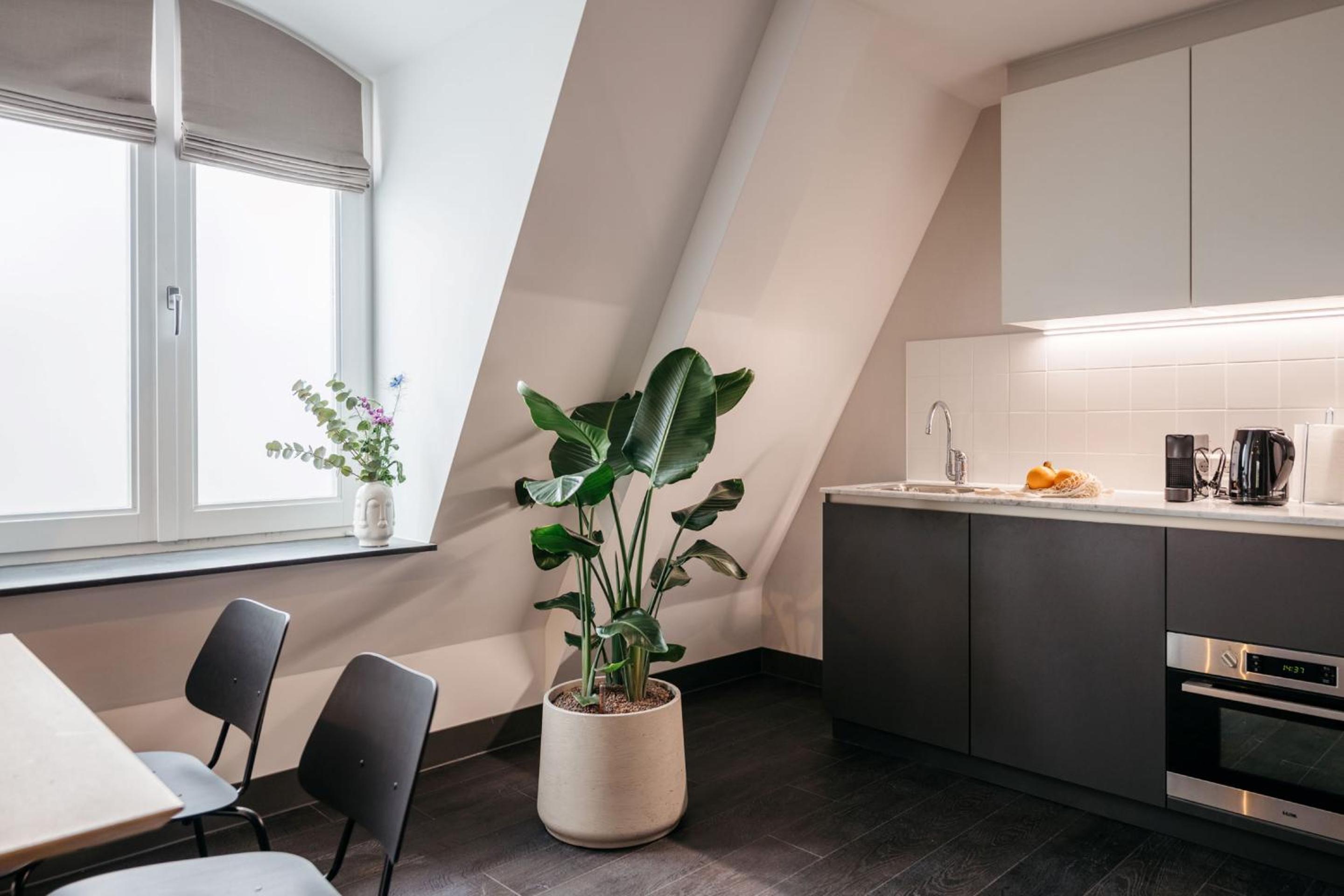 One-Bedroom Apartment with Balcony - Photo 8