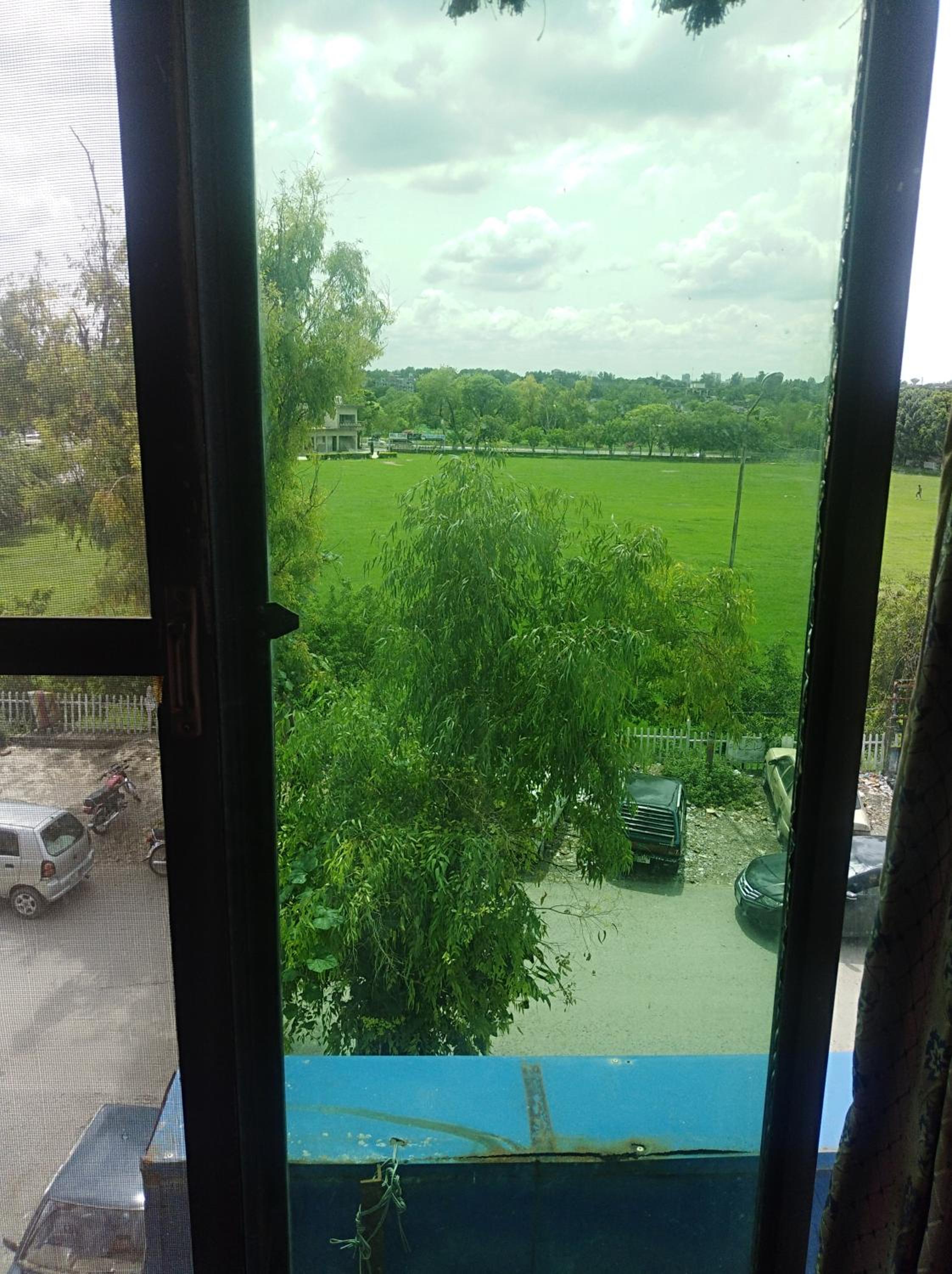 Family Room - Photo 6