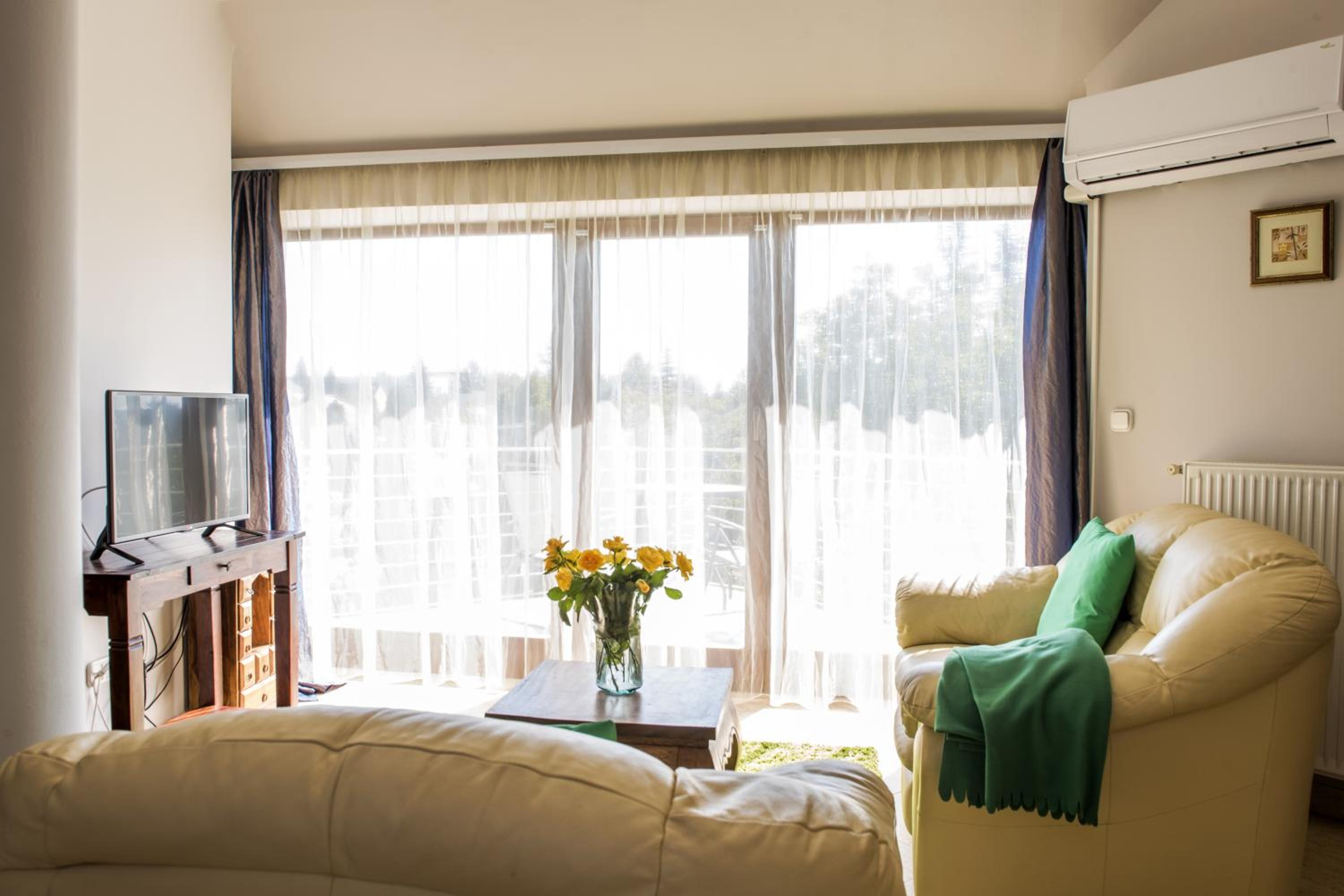 Superior One-Bedroom Apartment - Photo 27
