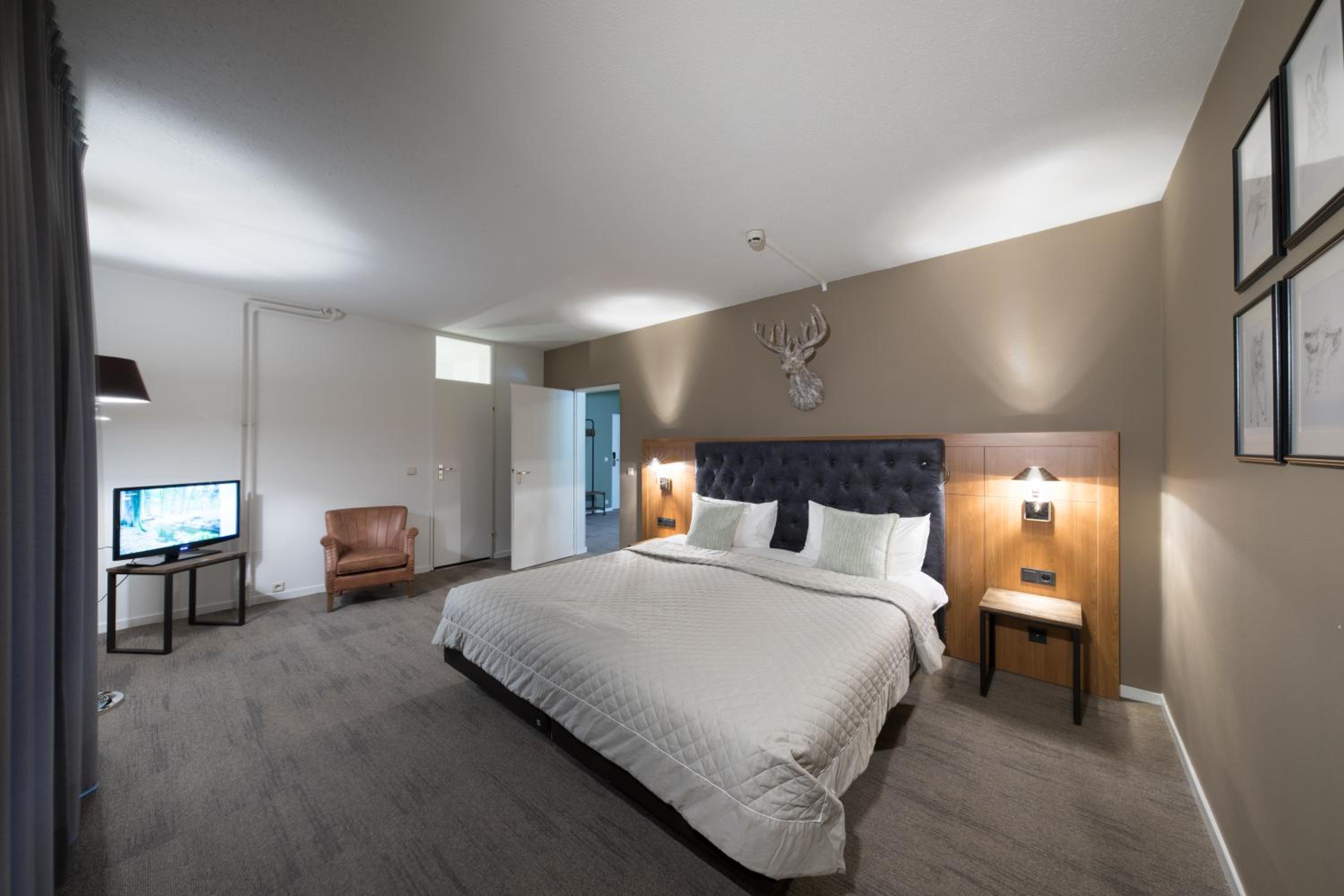 Suite - Photo 1