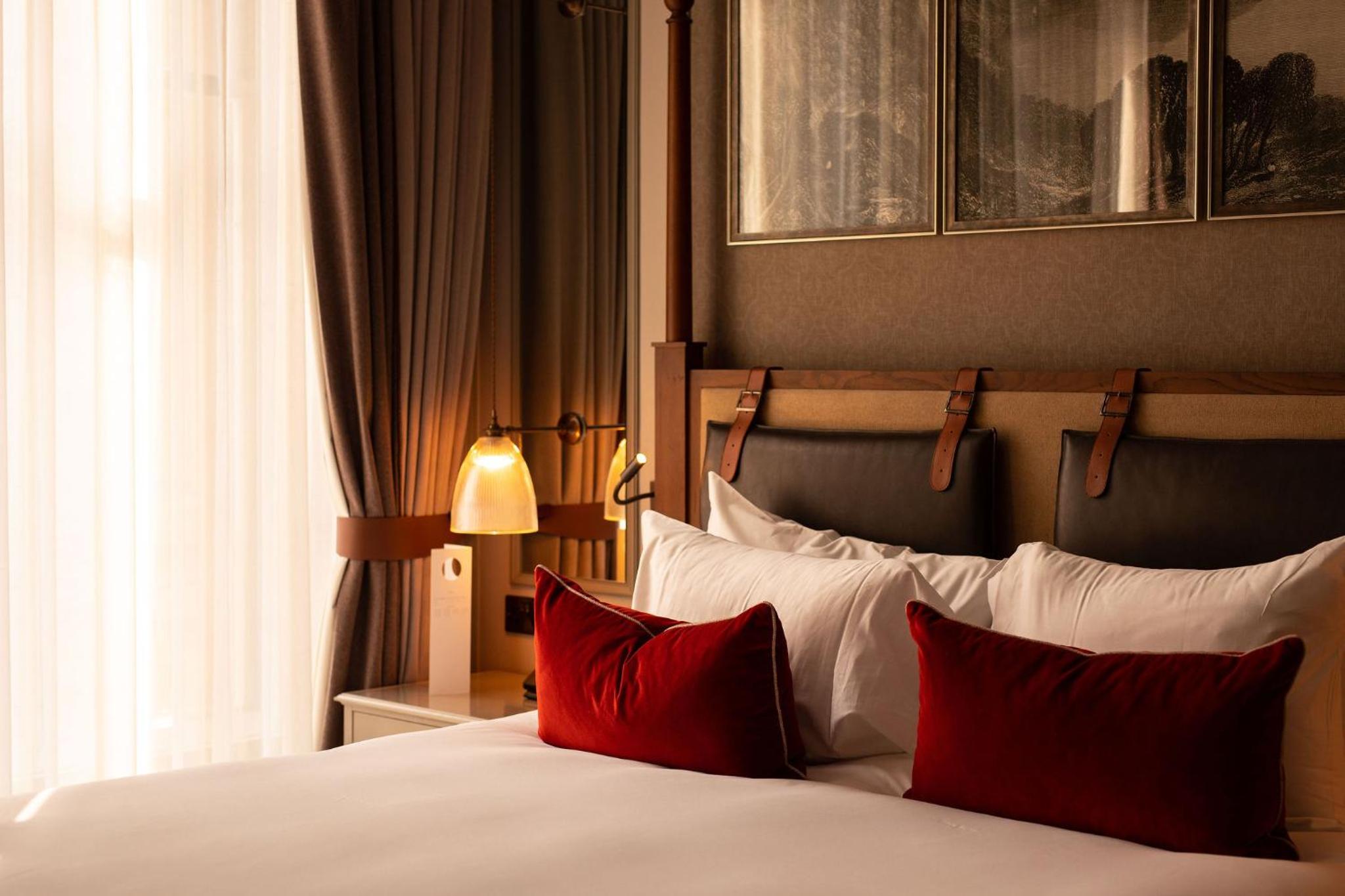 Junior King Suite - Photo 1