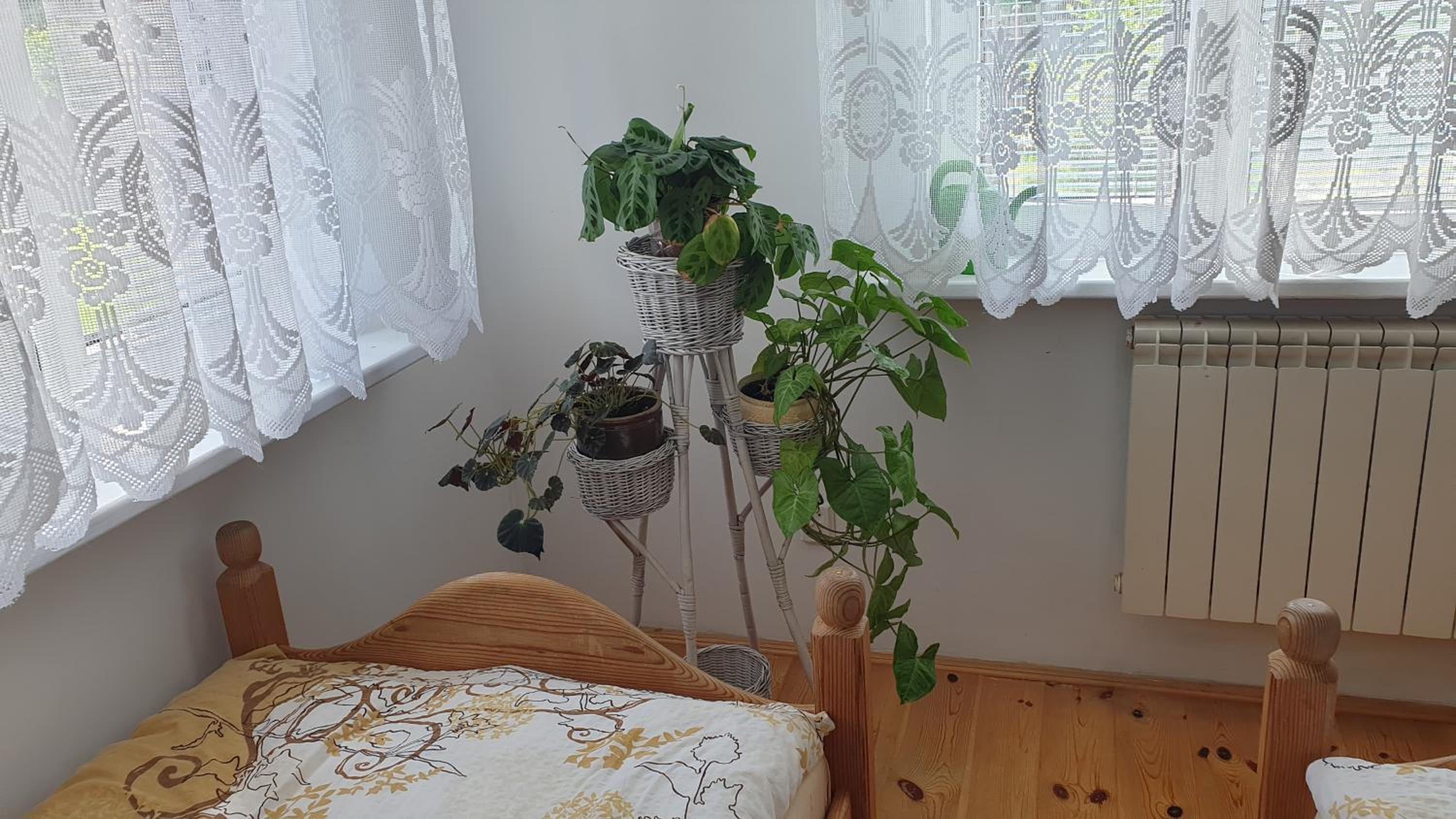 Double Room with Shared Bathroom photo 3